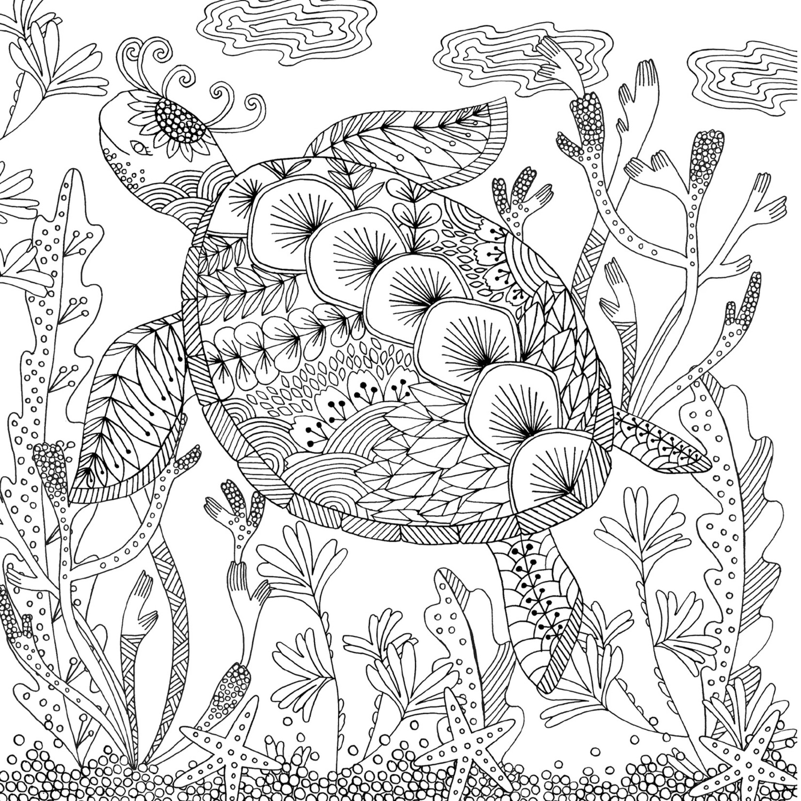 Peter Pauper Press Artist's Coloring Book - Follow Your Dreams
