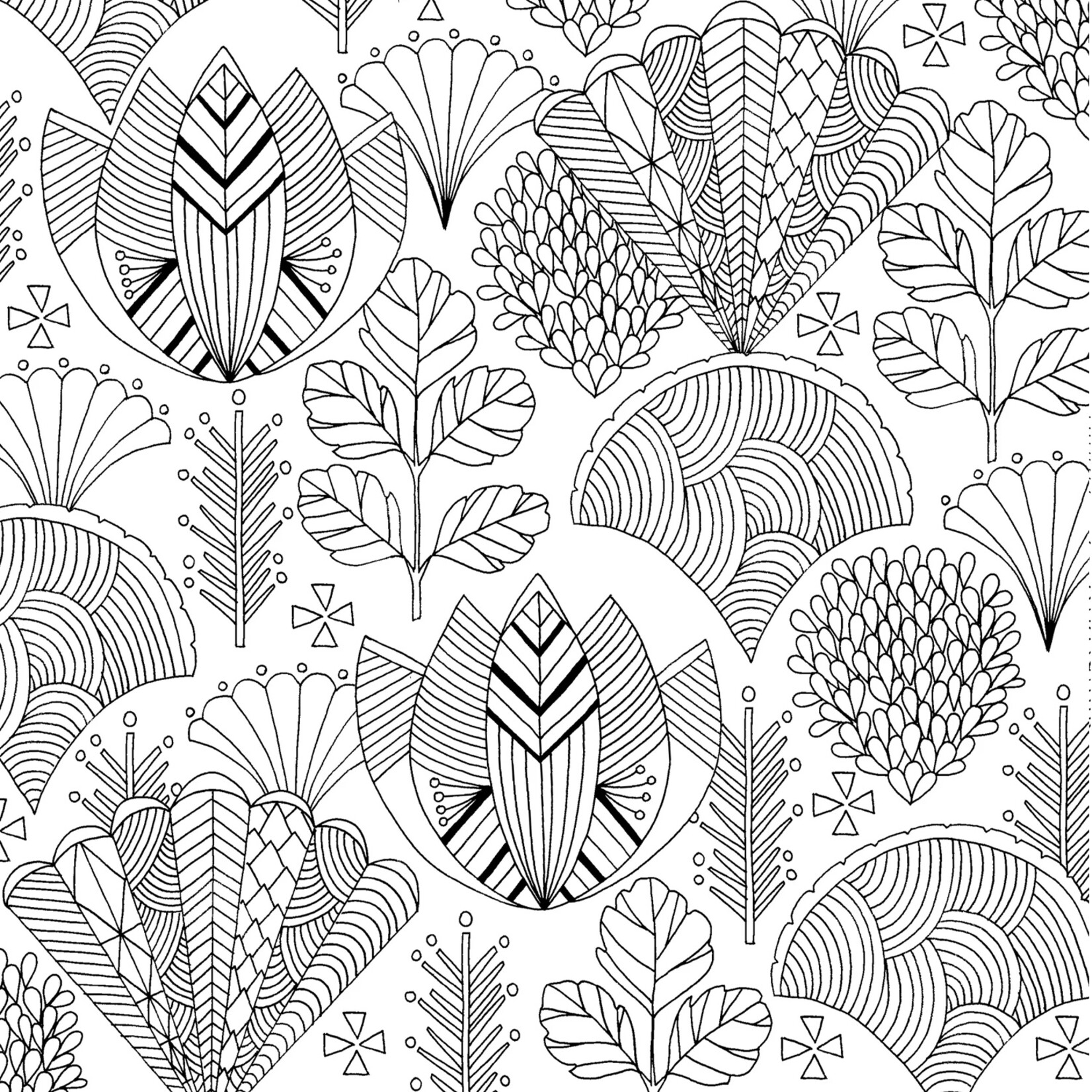 Peter Pauper Press Artist's Coloring Book - Follow Your Dreams