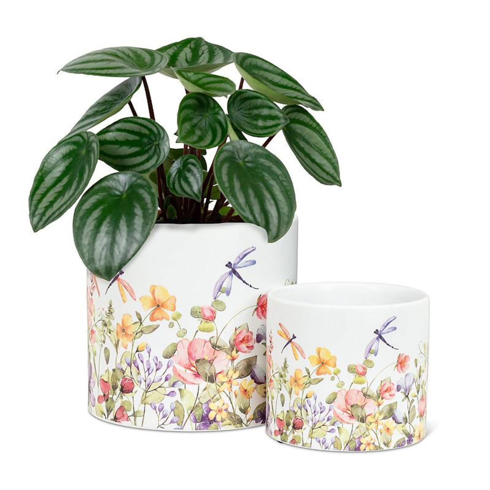 Abbott Ceramic Dragonfly Floral Planter - 2 Sizes