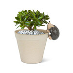 Abbott Pot Hanger - Climbing Hedgehog