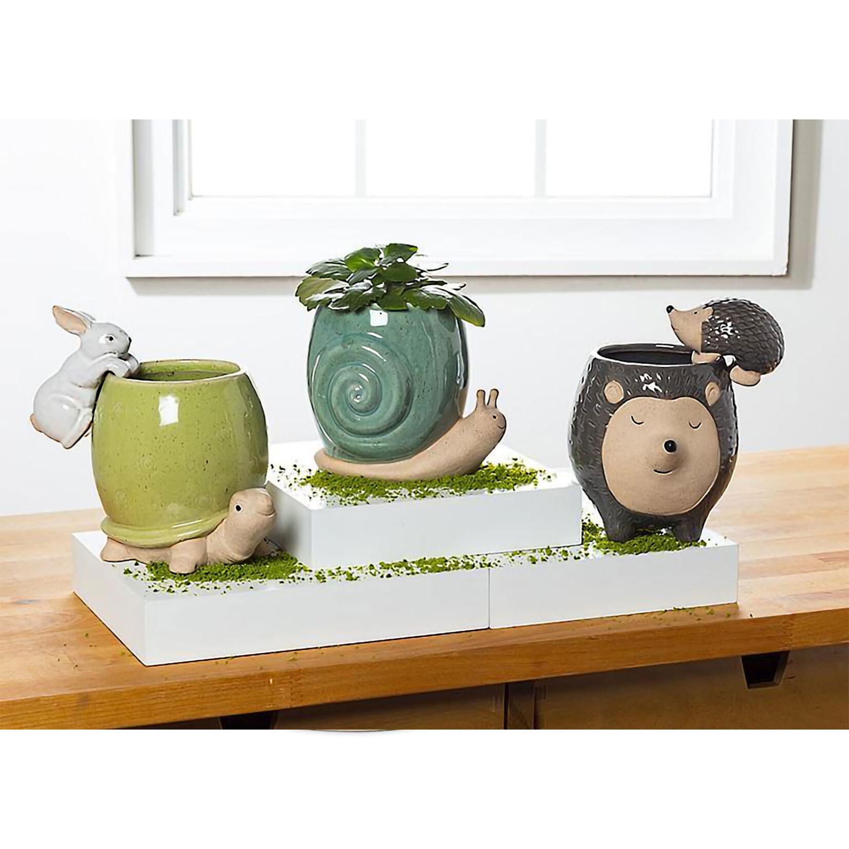 Abbott Pot Hanger - Climbing Hedgehog