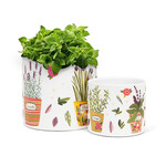 Abbott Ceramic Planter - Herbs (Small / Large)
