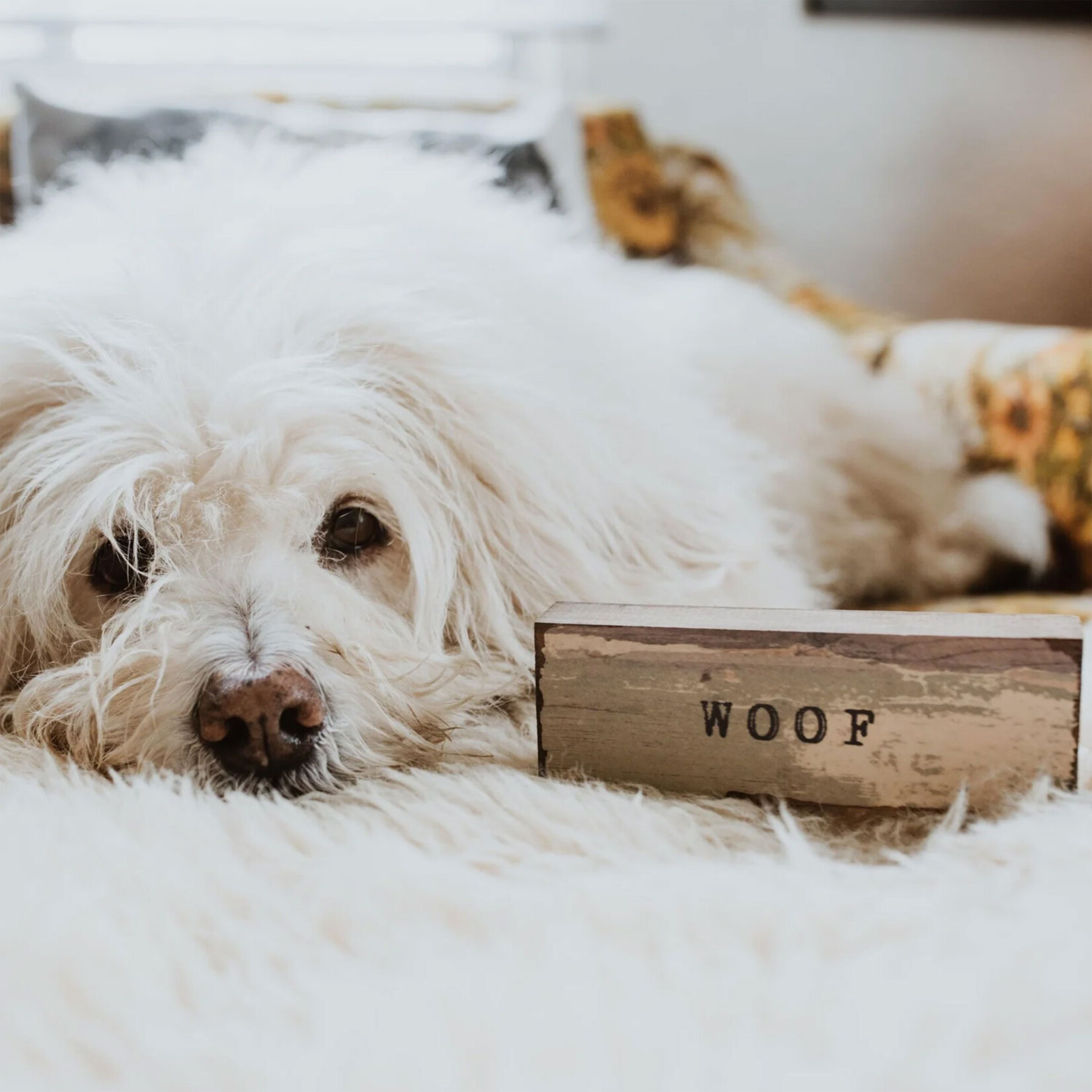 Cedar Mountain Timber Bits - Small - Woof