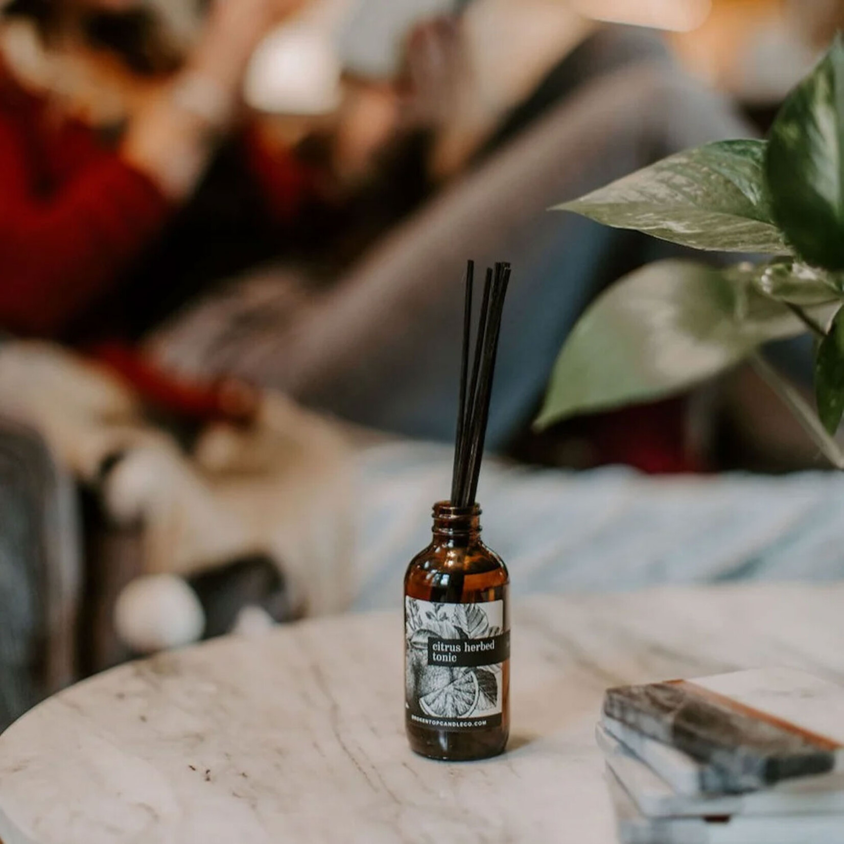 Broken Top Citrus Herbed Tonic - Linen Spray | Reed Diffuser | Soy Candle