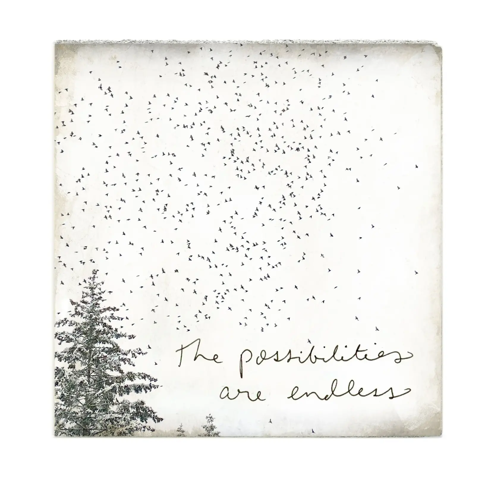 Cedar Mountain Art Block - Possibilities