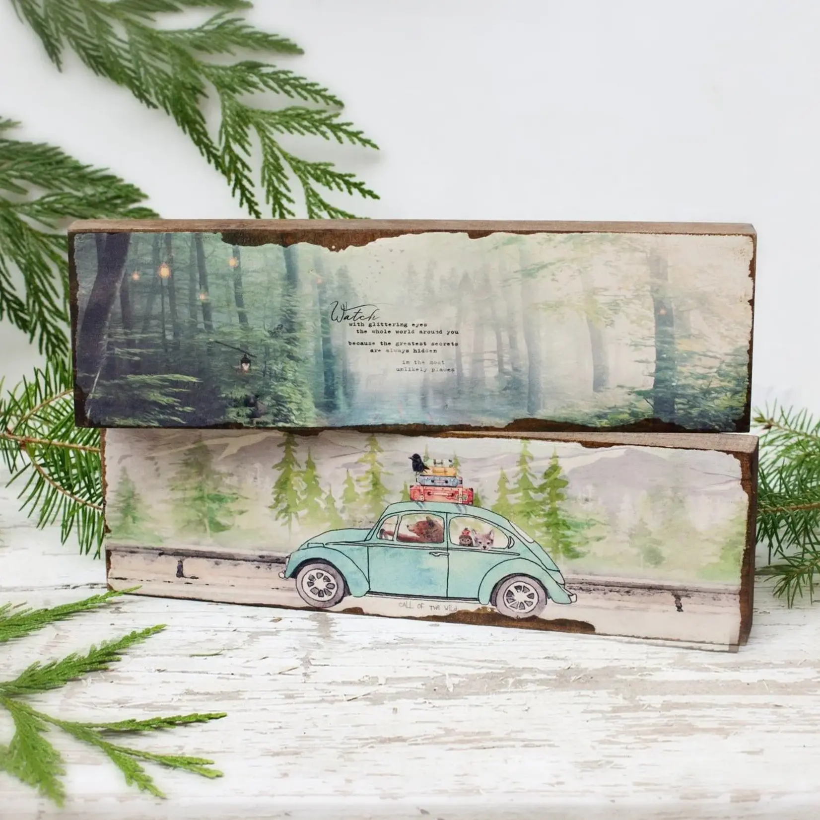 Cedar Mountain Timber Art - Glittering Eyes