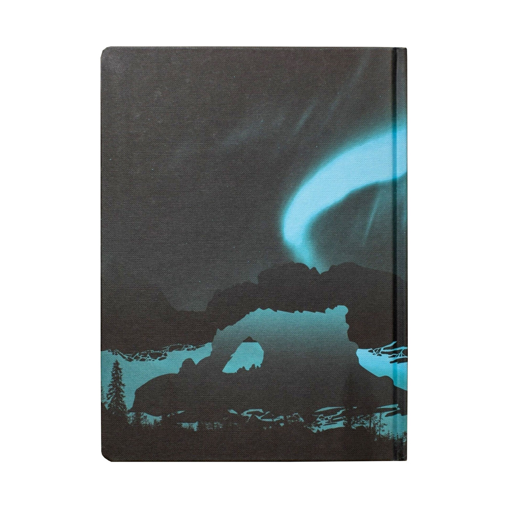 Cognitive Surplus Hardcover Journal - Arctic Ice