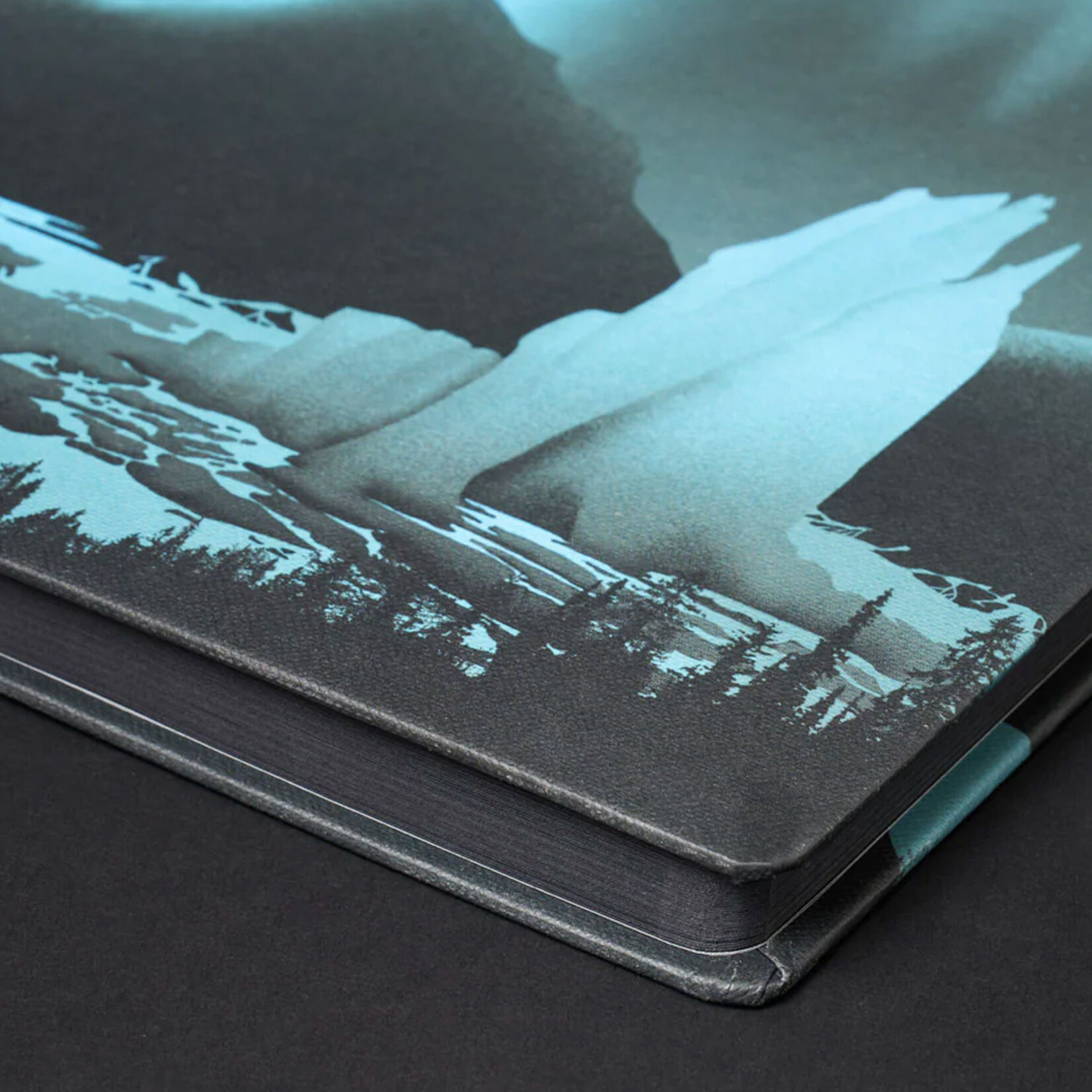 Cognitive Surplus Hardcover Journal - Arctic Ice