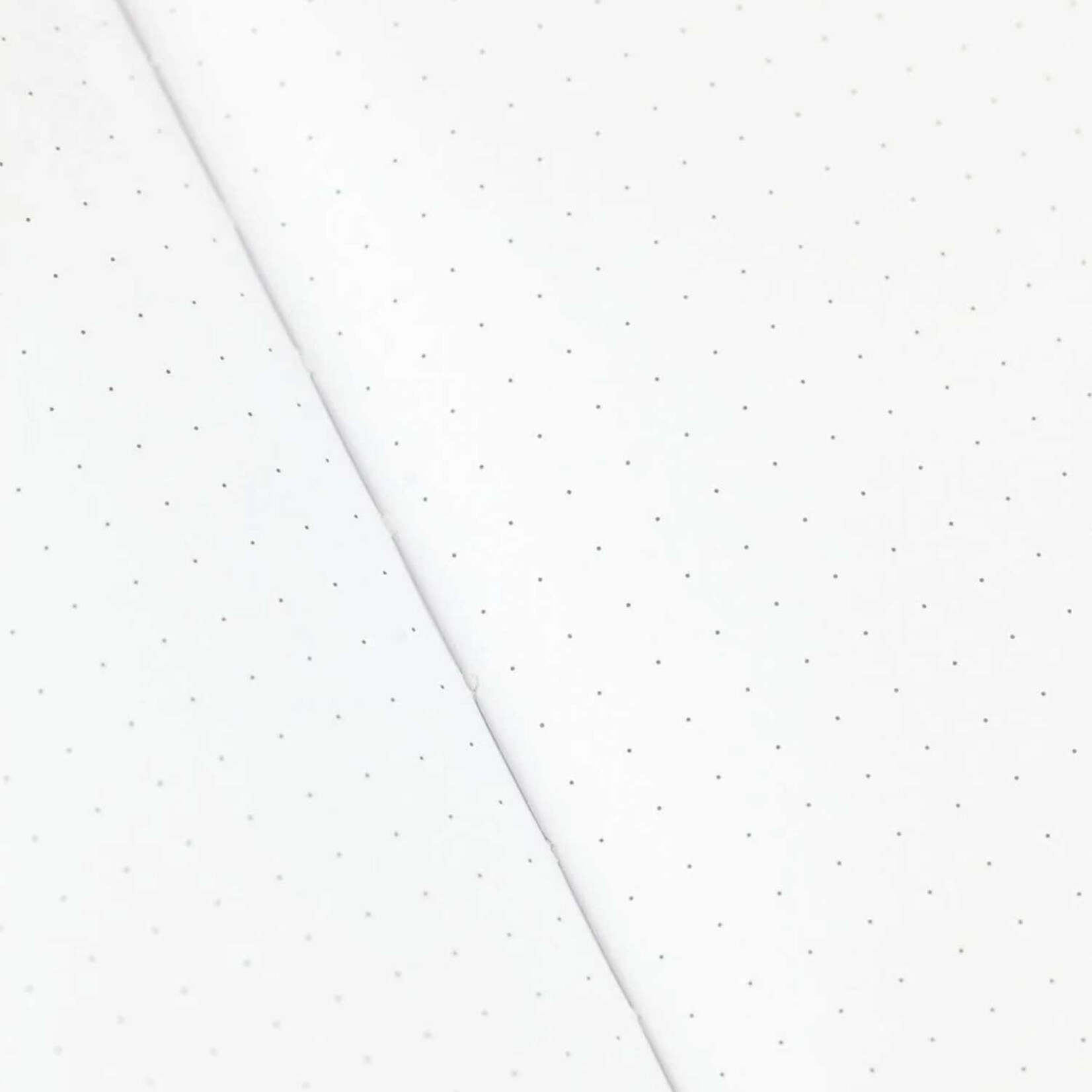 Cognitive Surplus Journal - Dot Grid - Day and Night on Earth