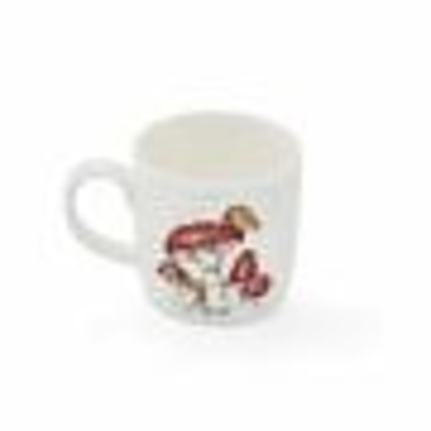 Wrendale Mug - He's a Fun-Gi