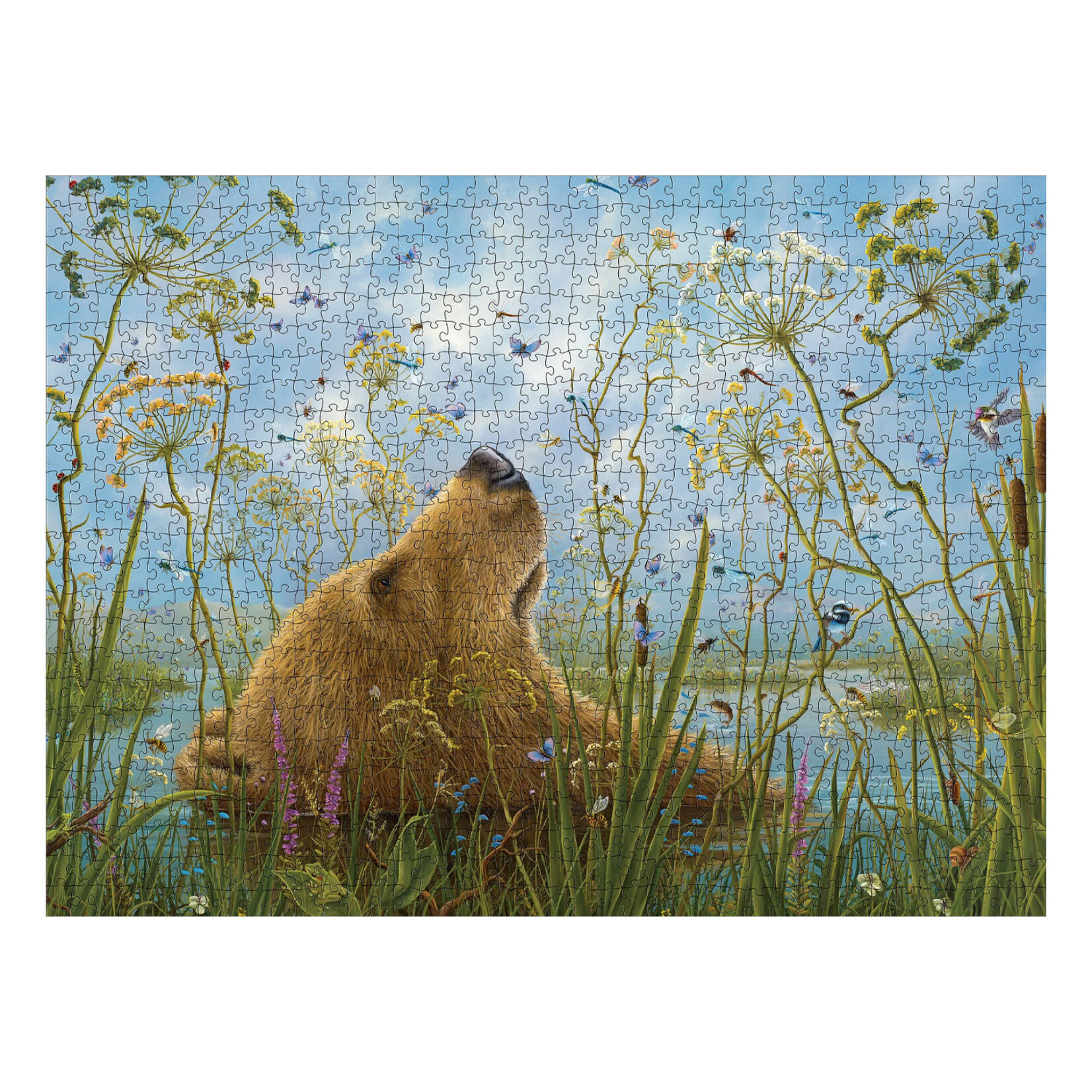 Pomegranate Jigsaw Puzzle - The Whole World by Robert Bissell (1000-Piece)