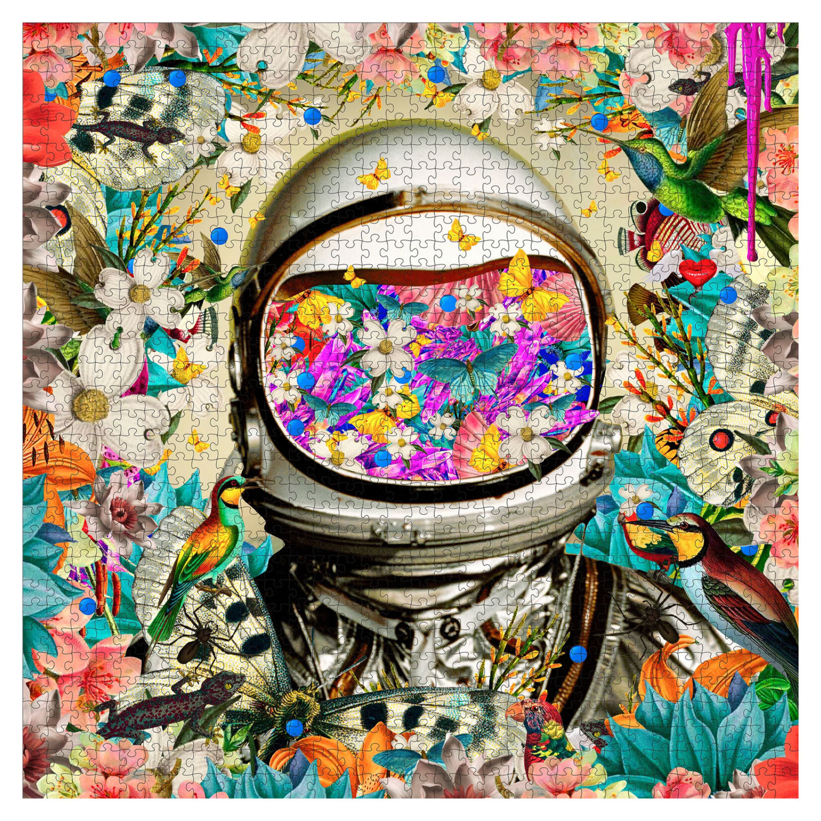 Pomegranate Jigsaw Puzzle - Astronaut by David Krovblit (1000-Piece)
