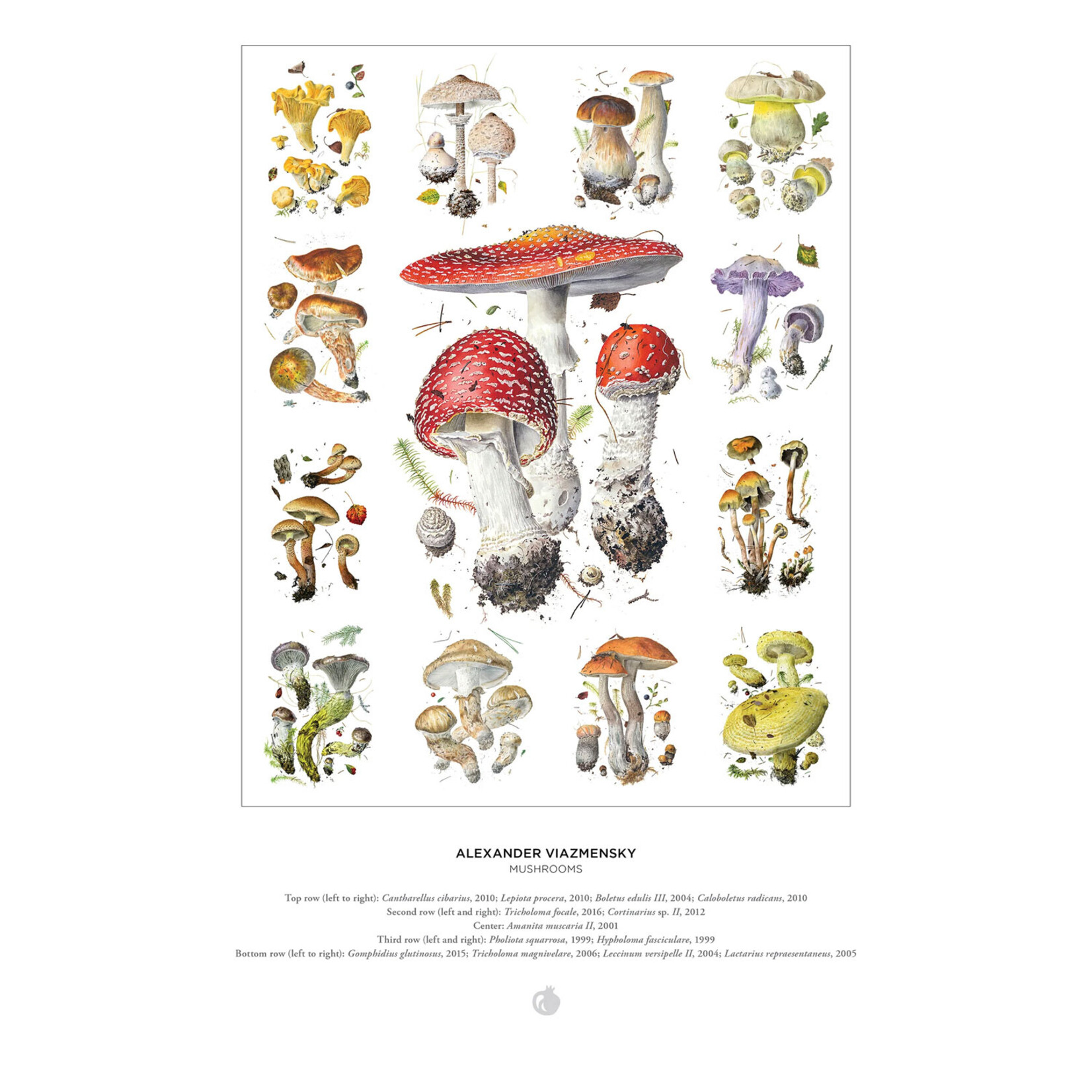 Pomegranate Jigsaw Puzzle - Mushrooms by Alexander Viazmensky (1000-Piece)