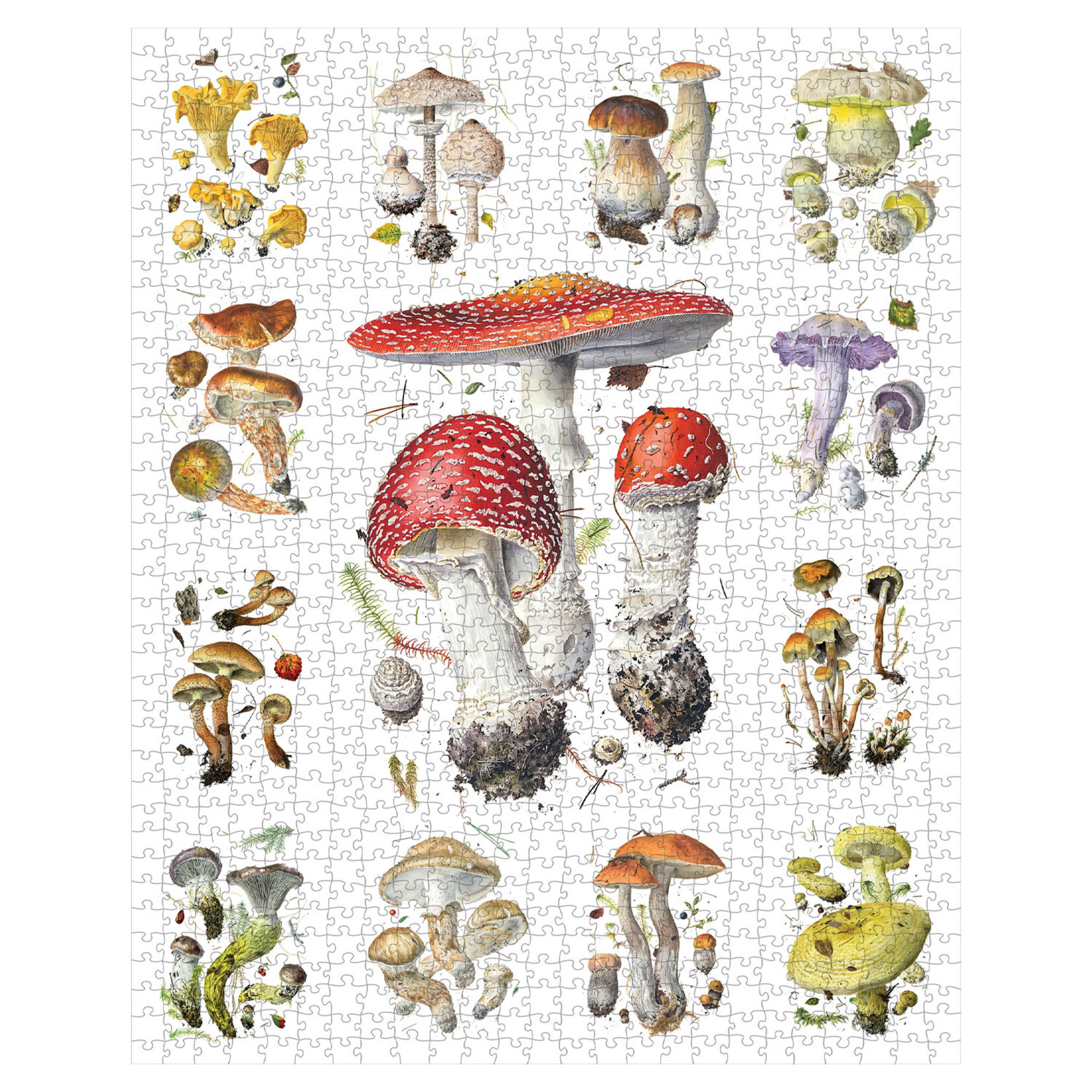 Pomegranate Jigsaw Puzzle - Mushrooms by Alexander Viazmensky (1000-Piece)