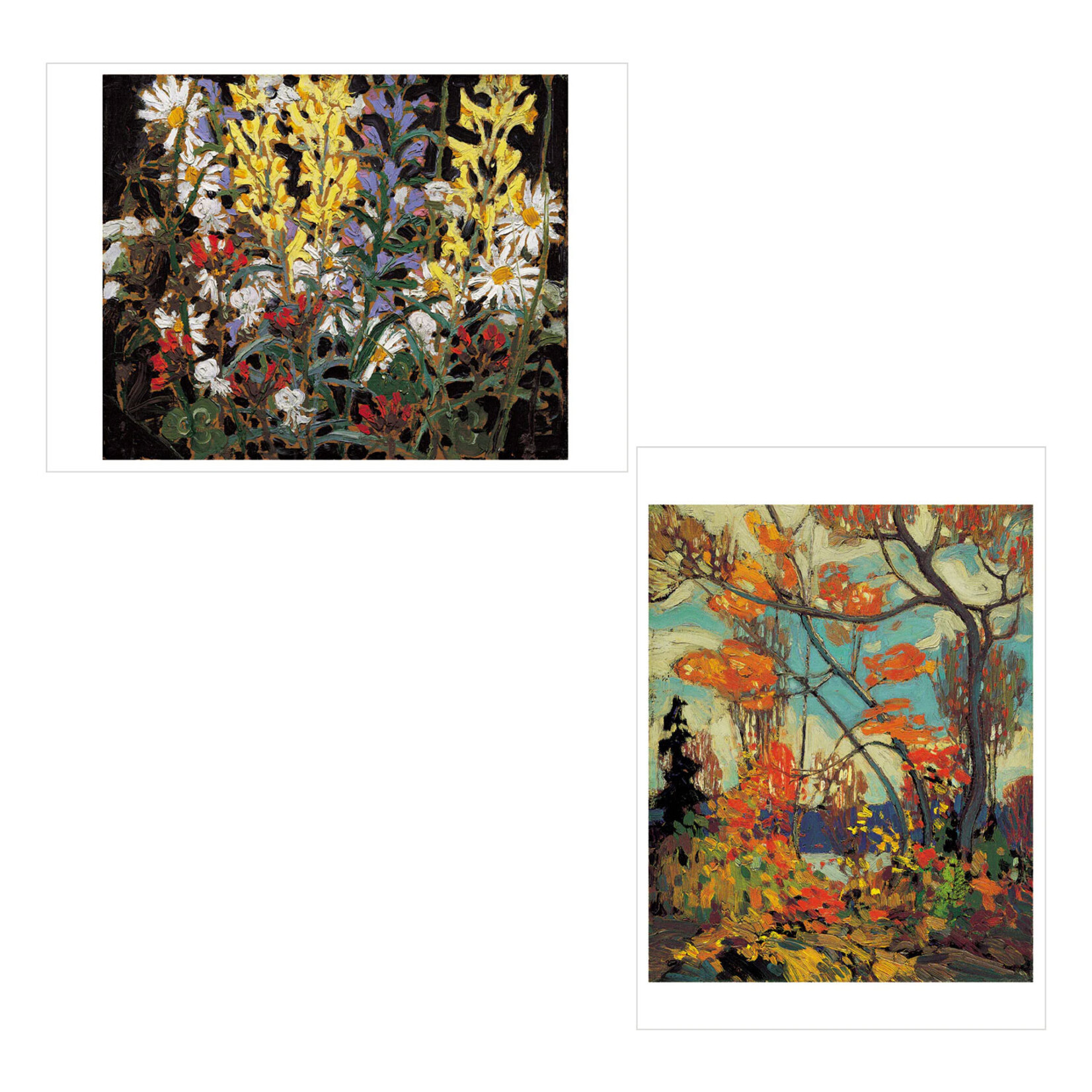 Pomegranate Boxed Notecards - Tom Thomson (20 Assorted Cards)