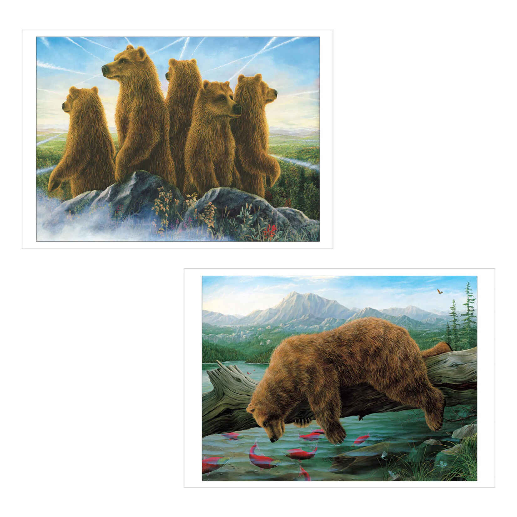 Pomegranate Boxed Notecards - Bears by Robert Bissell (20 Assorted Cards)