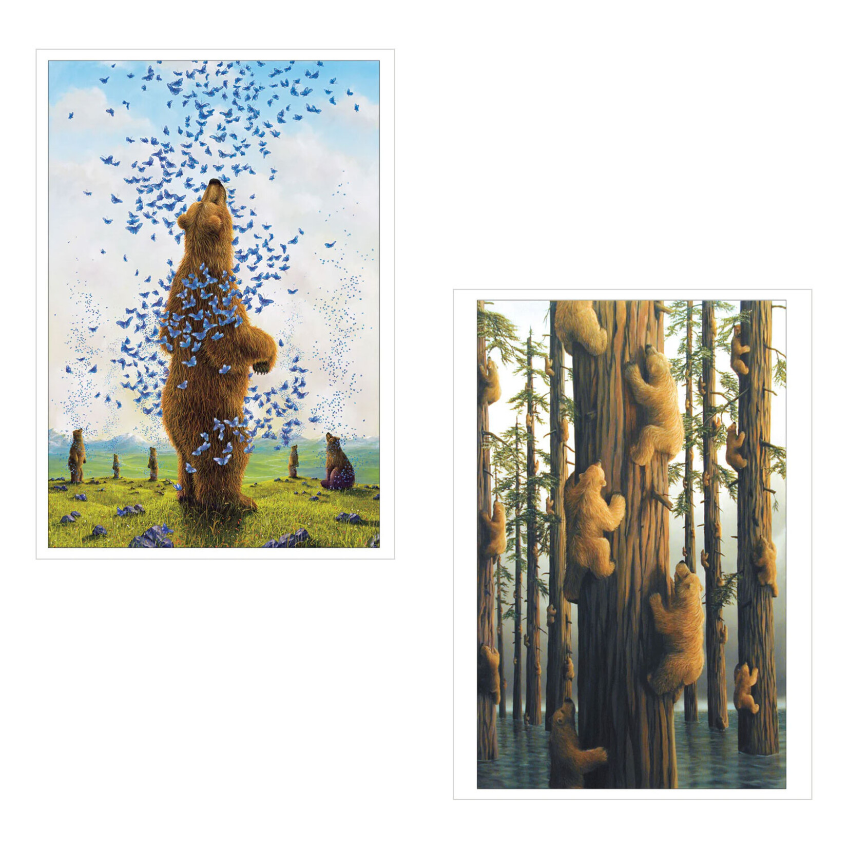 Pomegranate Boxed Notecards - Bears by Robert Bissell (20 Assorted Cards)