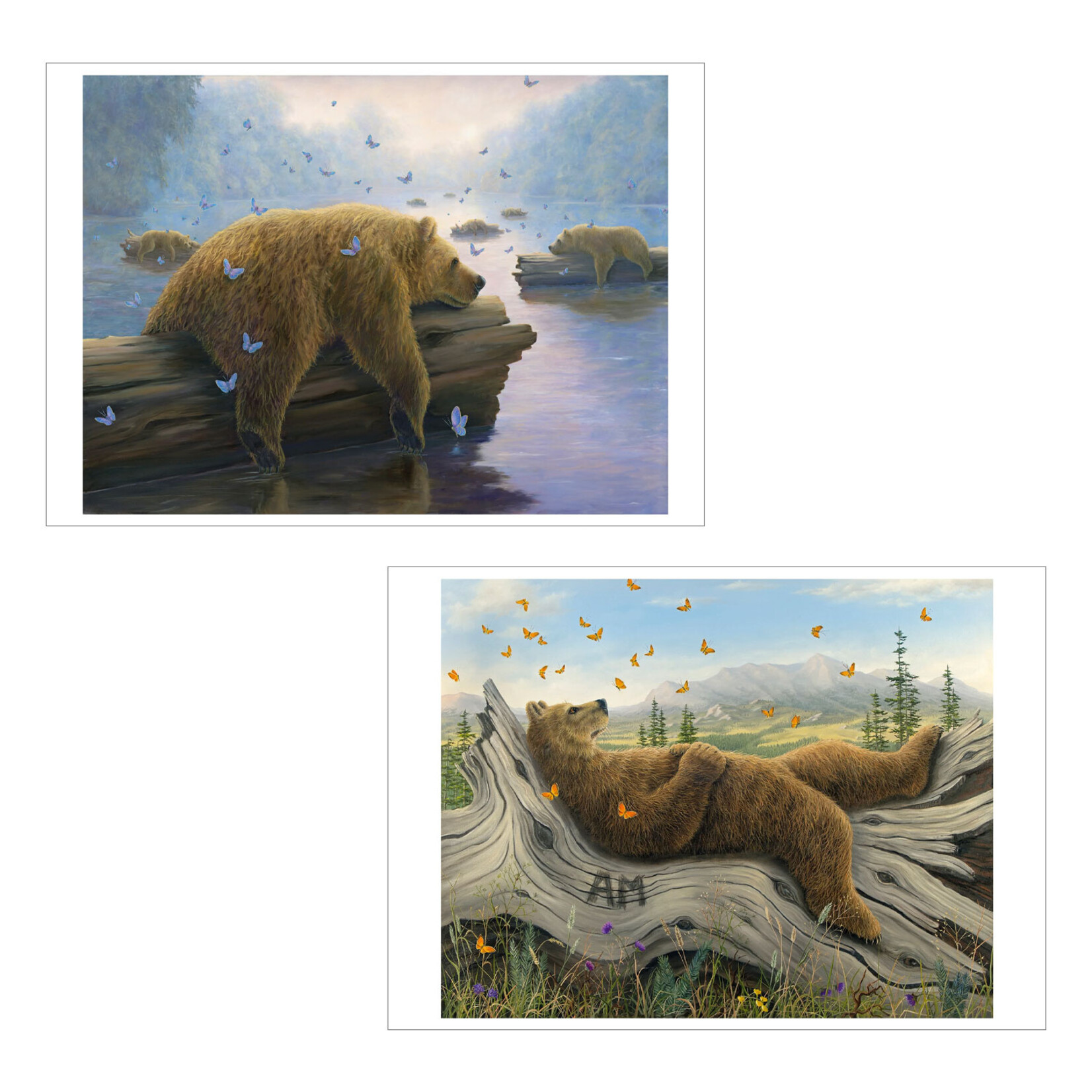 Pomegranate Boxed Notecards - Spirit by Robert Bissell (20 Assorted Cards)