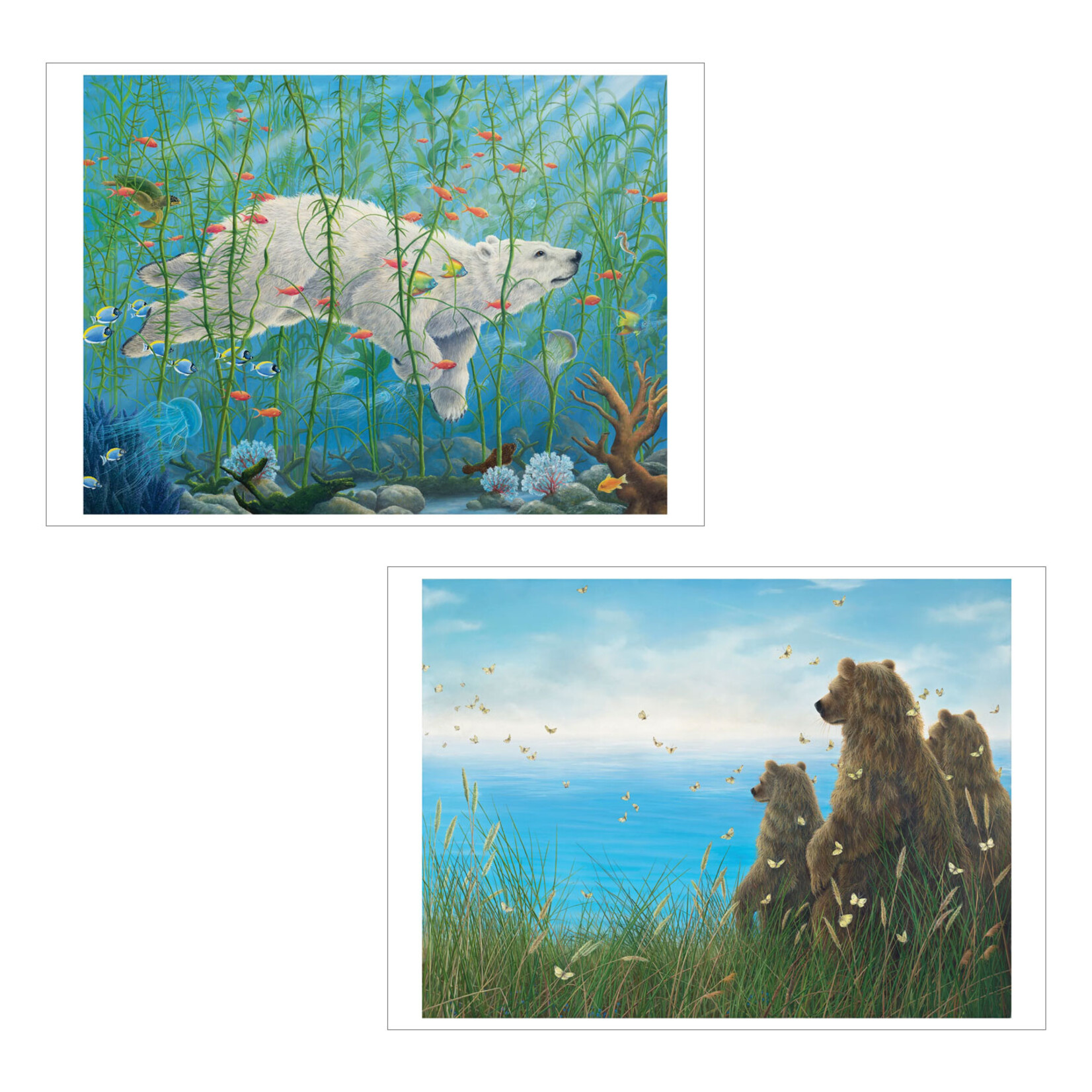 Pomegranate Boxed Notecards - Spirit by Robert Bissell (20 Assorted Cards)