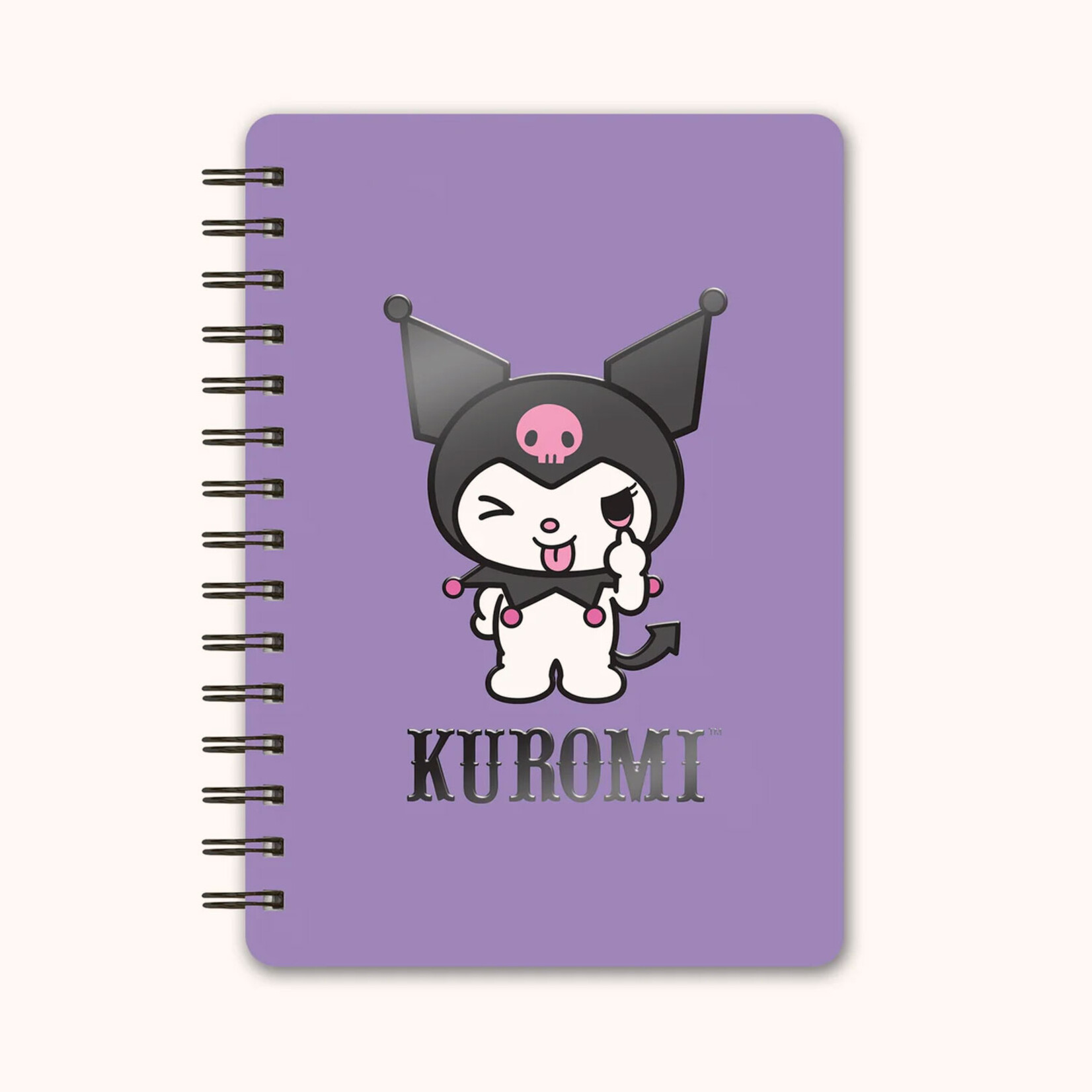 Hello Kitty Agatha Notebooks