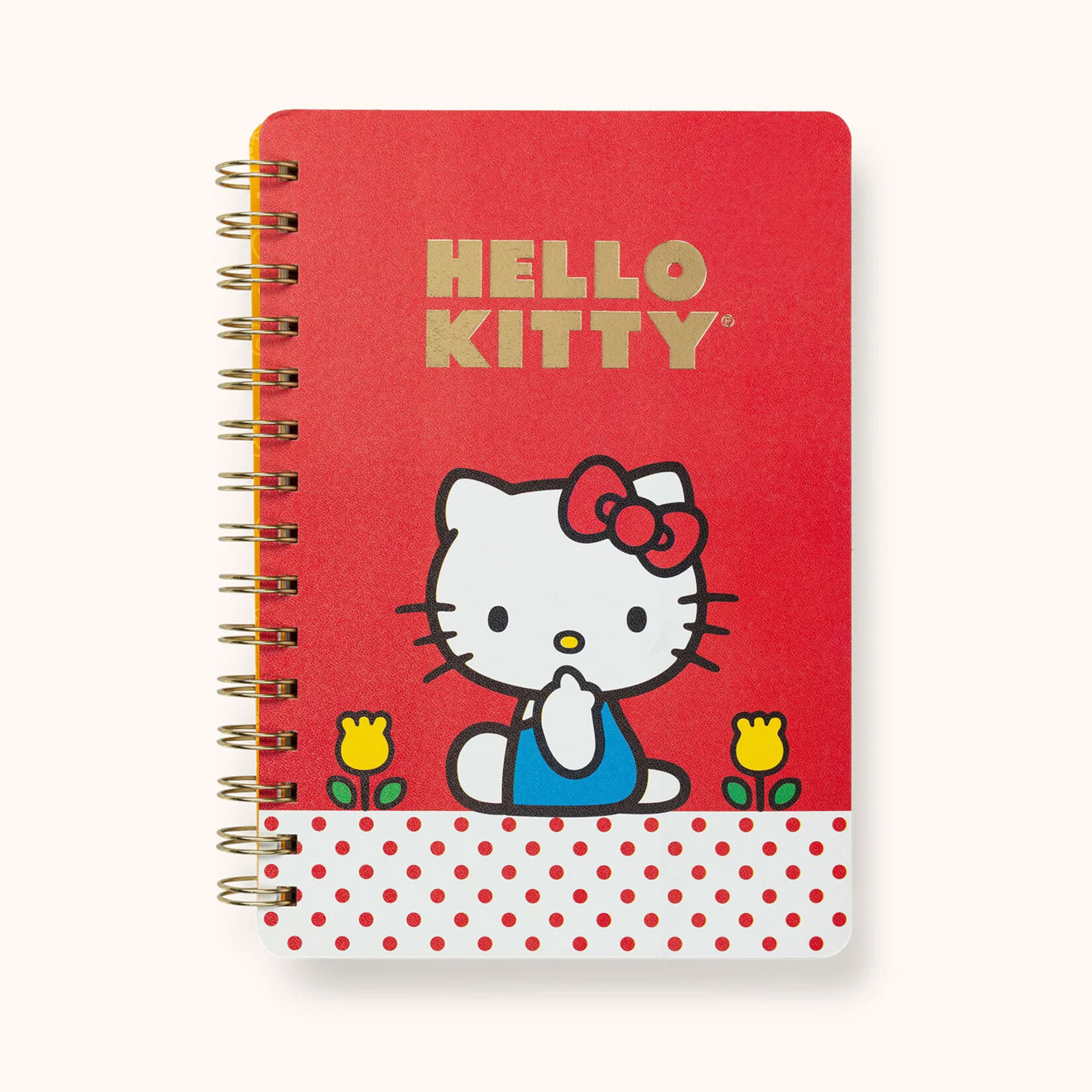 Hello Kitty Agatha Notebooks