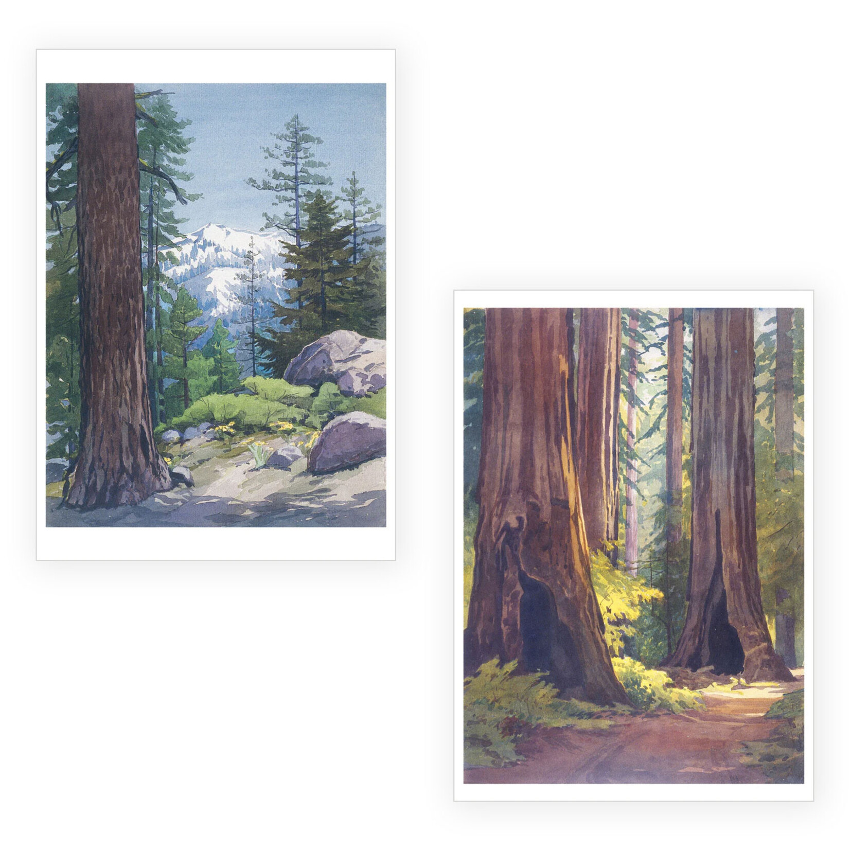 Pomegranate Boxed Notecards - Watercolors by William S. Rice (20 Assorted Cards)