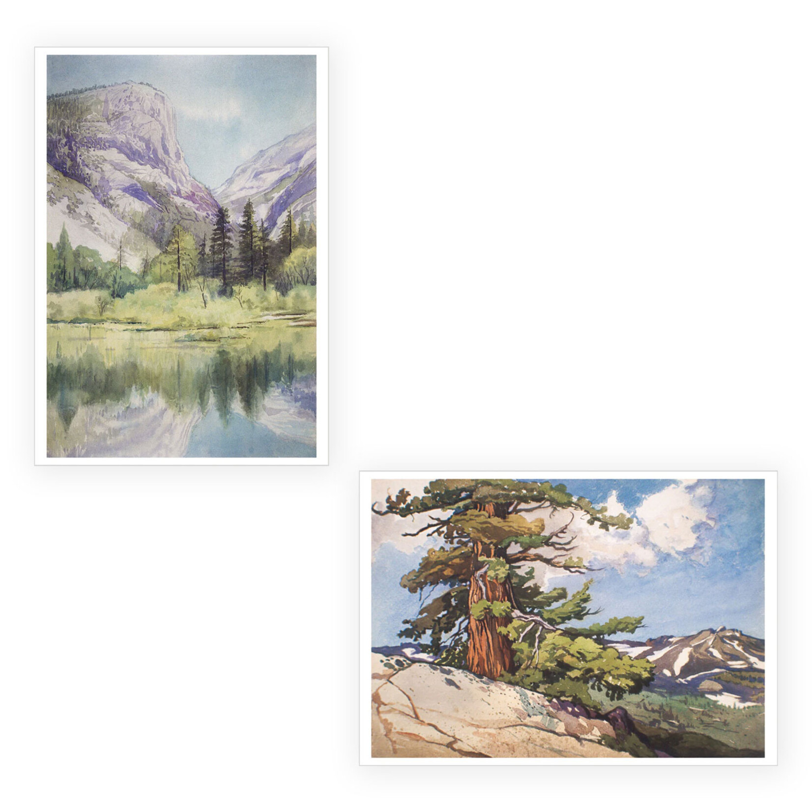 Pomegranate Boxed Notecards - Watercolors by William S. Rice (20 Assorted Cards)