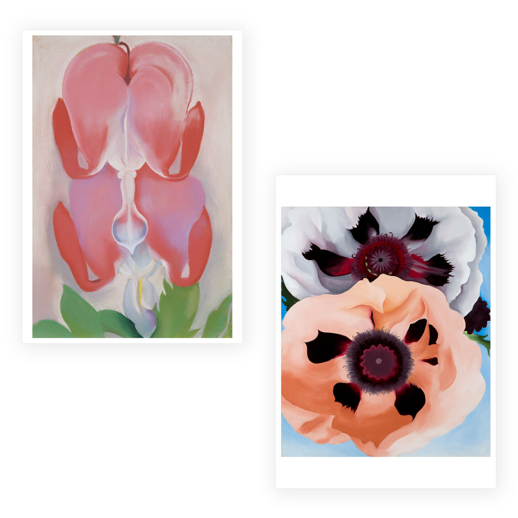 Pomegranate Boxed Notecards - Paintings by Georgia O'Keeffe (20 Assorted Cards)