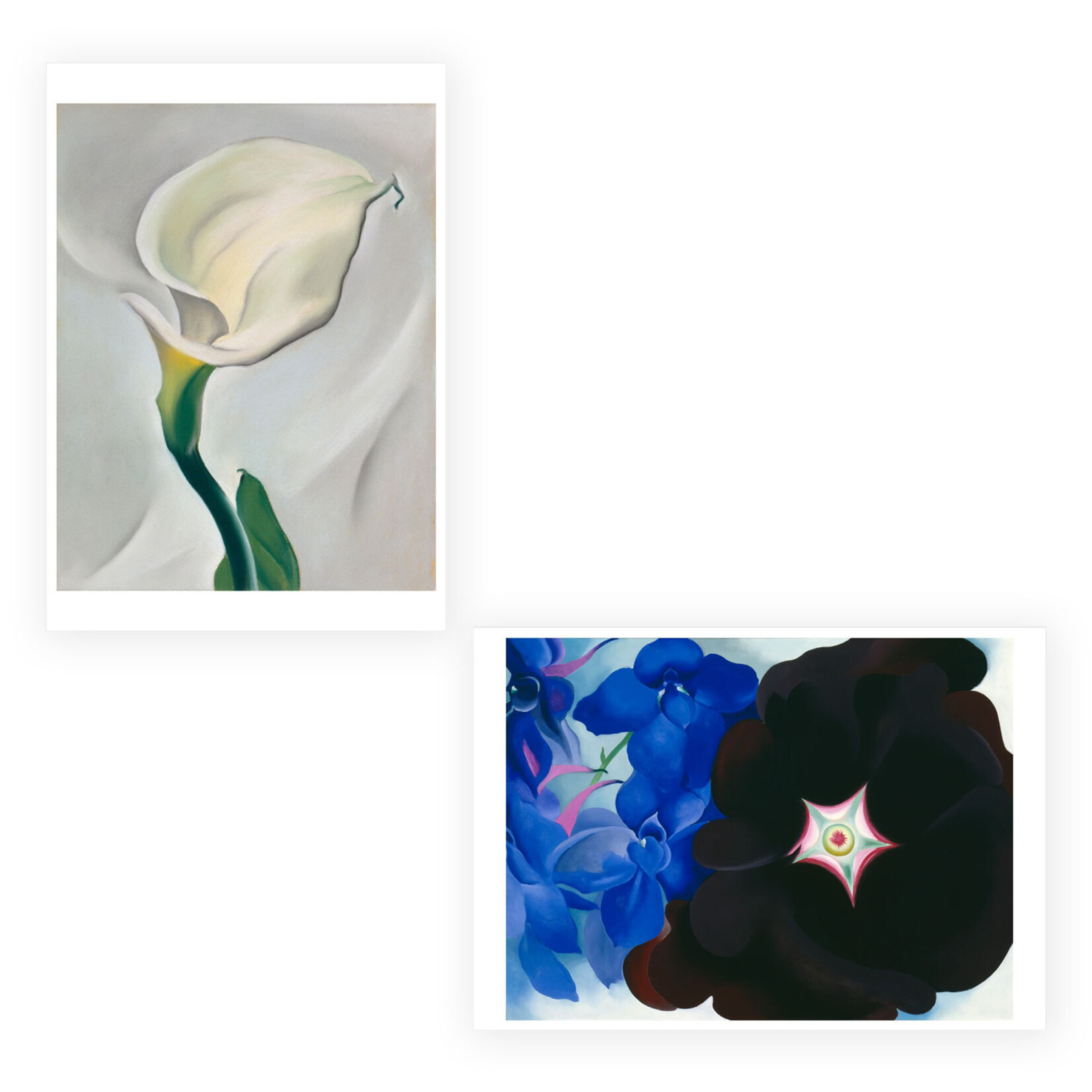 Pomegranate Boxed Notecards - Paintings by Georgia O'Keeffe (20 Assorted Cards)