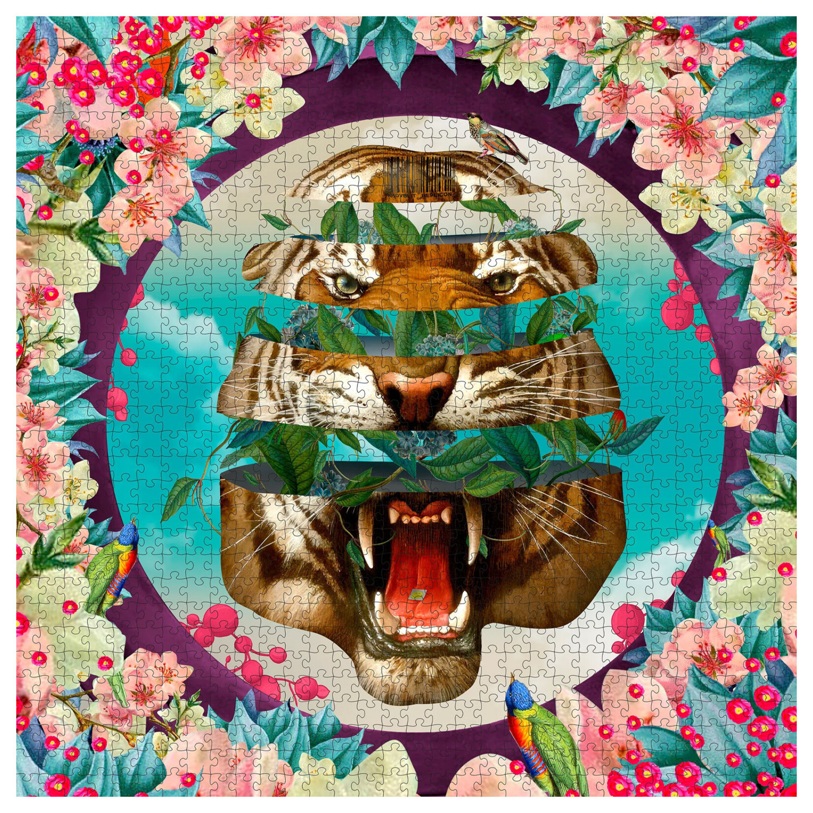 Pomegranate Jigsaw Puzzle - Vision Quest by David Krovblit (1000-Piece)