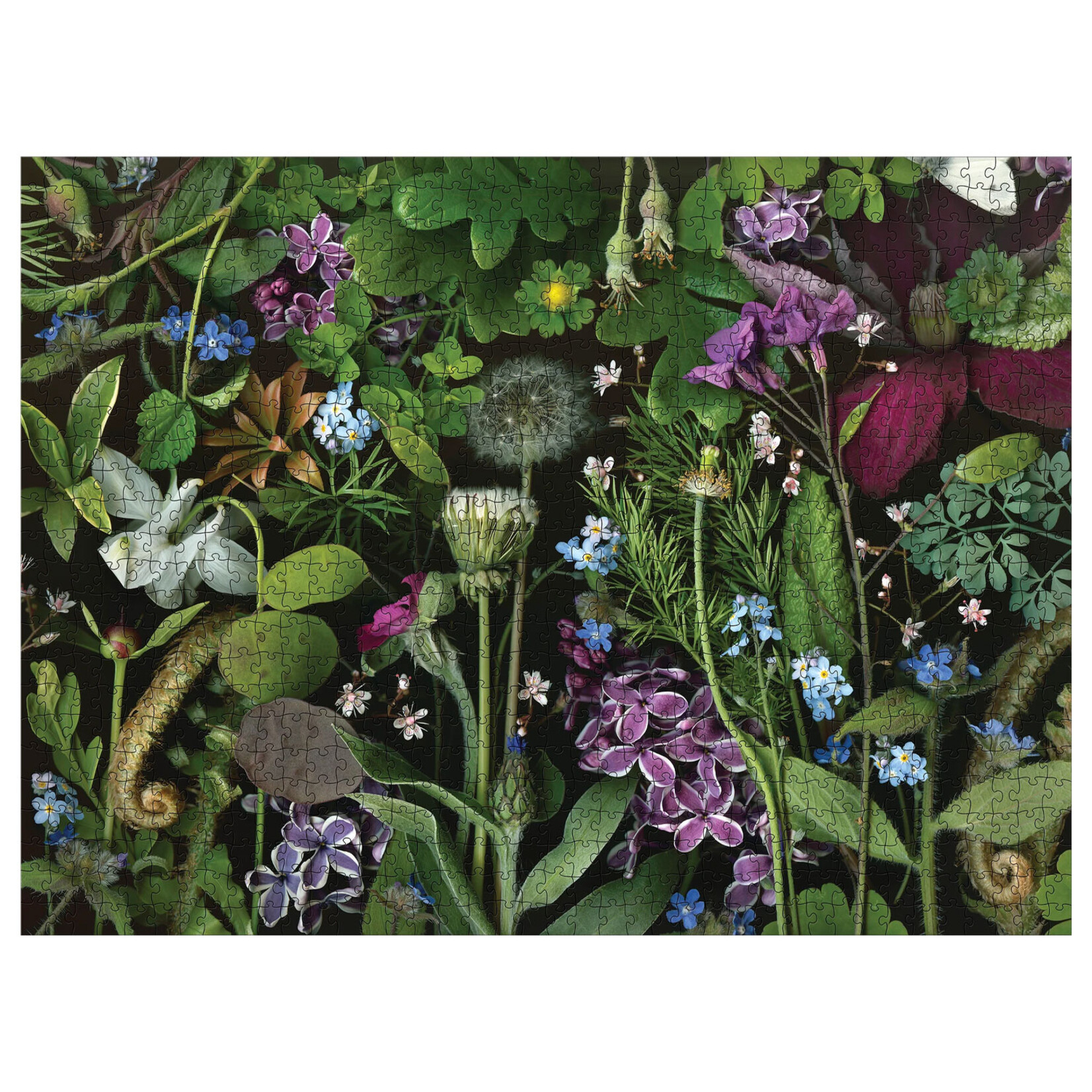 Pomegranate Jigsaw Puzzle - Siri’s Lilac by Deb Stoner (1000-Piece)