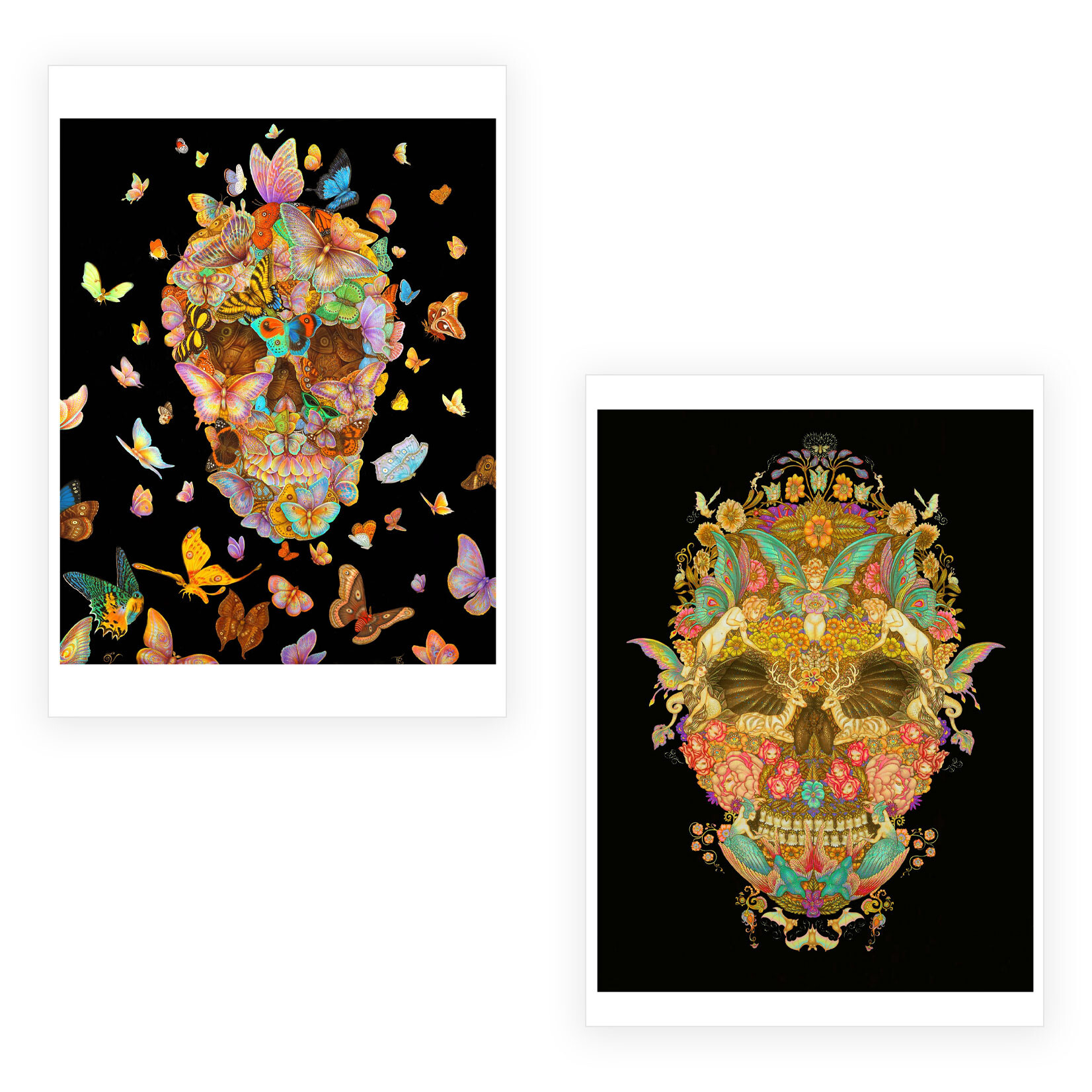Pomegranate Boxed Notecards - Day of the Dead by Tino Rodriguez & Virgo Paraiso (20 Assorted Cards)