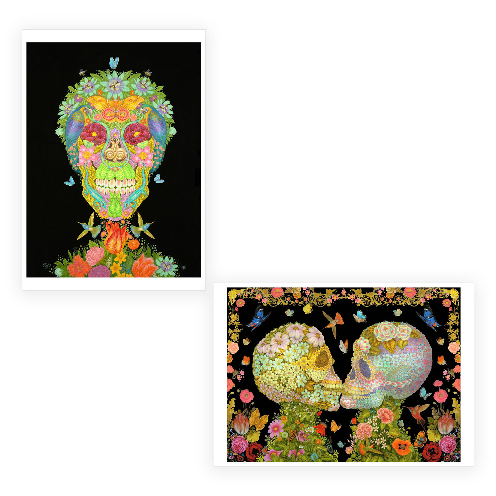 Pomegranate Boxed Notecards - Day of the Dead by Tino Rodriguez & Virgo Paraiso (20 Assorted Cards)