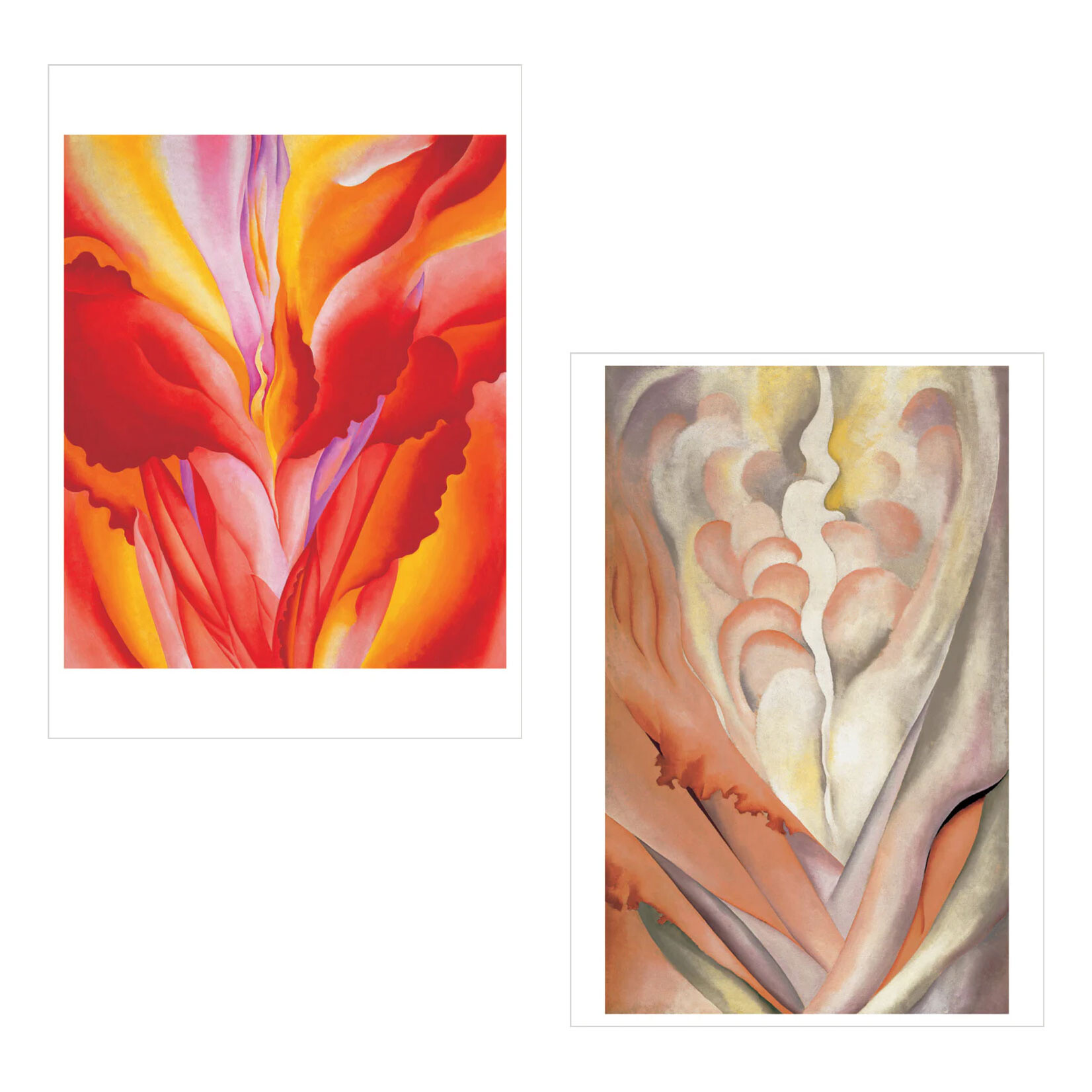 Pomegranate Boxed Notecards - Abstract Flowers by Georgia O'Keeffe (20 Assorted Cards)