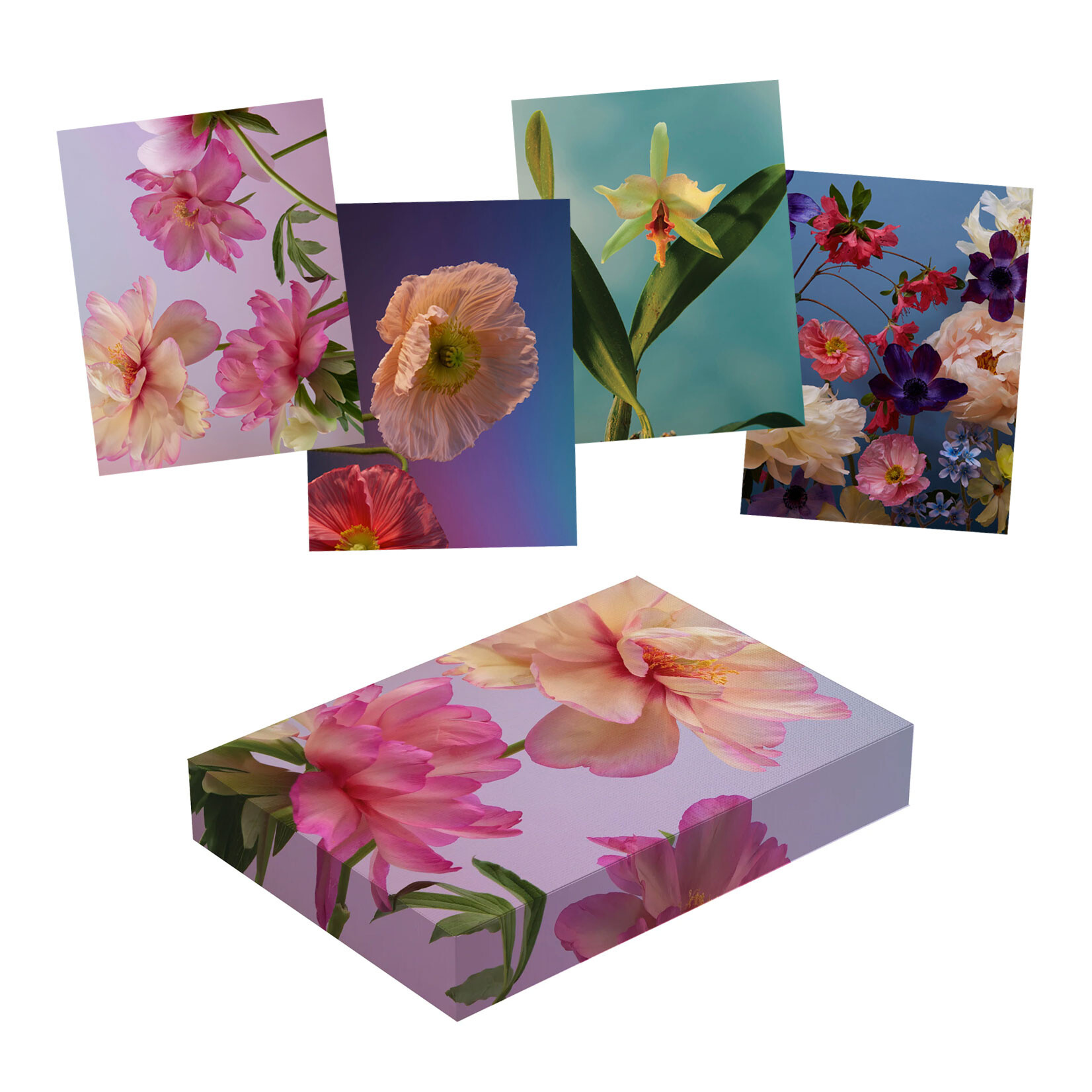 Pomegranate Boxed Notecards - Flowers Keepsake by Doan Ly (20 Assorted Cards)