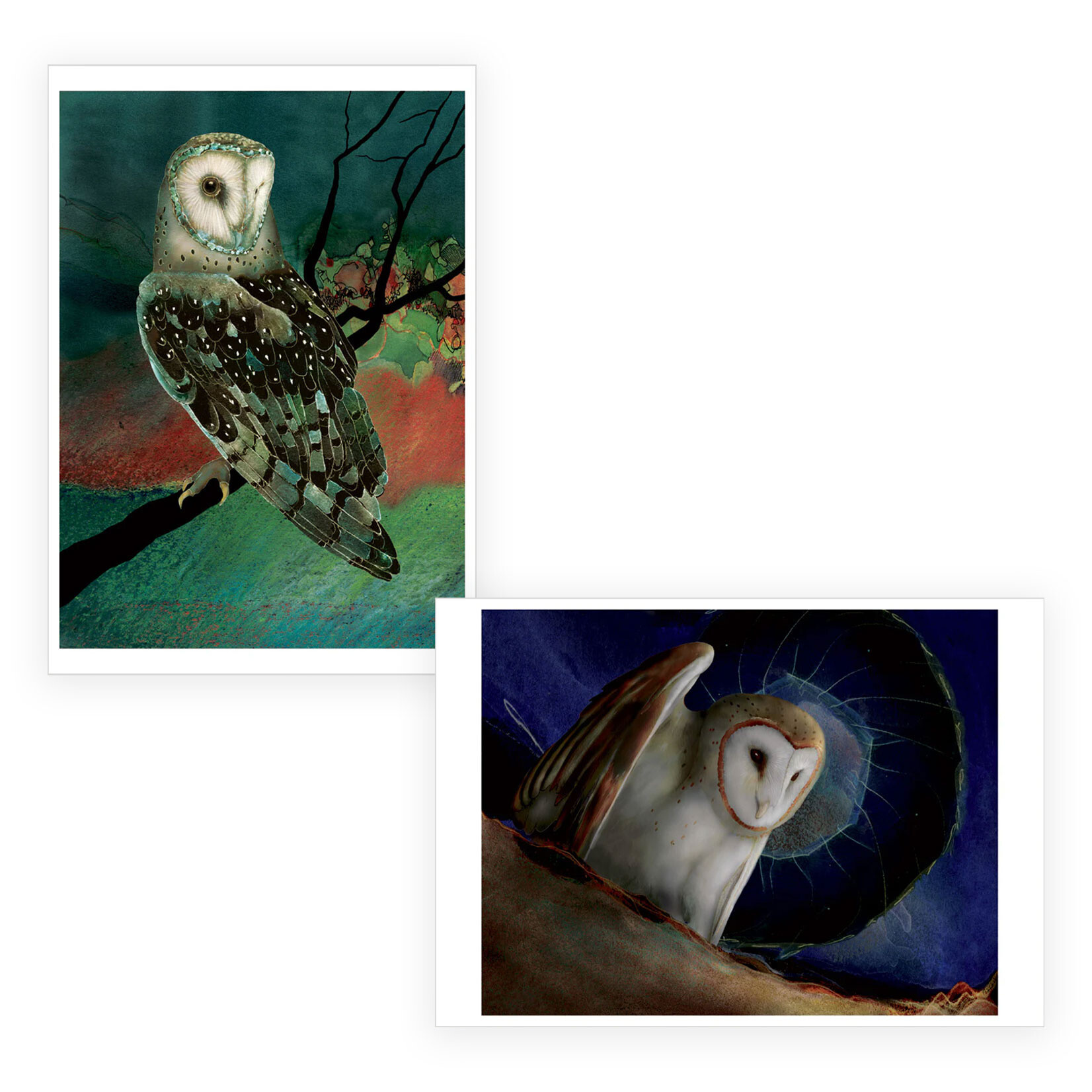 Pomegranate Boxed Notecards - Barn Owls by Jeannine Chappell (20 Assorted Cards)