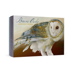 Pomegranate Boxed Notecards - Barn Owls by Jeannine Chappell (20 Assorted Cards)