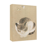 Pomegranate Small Boxed Notecards - Sleeping Cat and Butterflies (20 Assorted Cards)