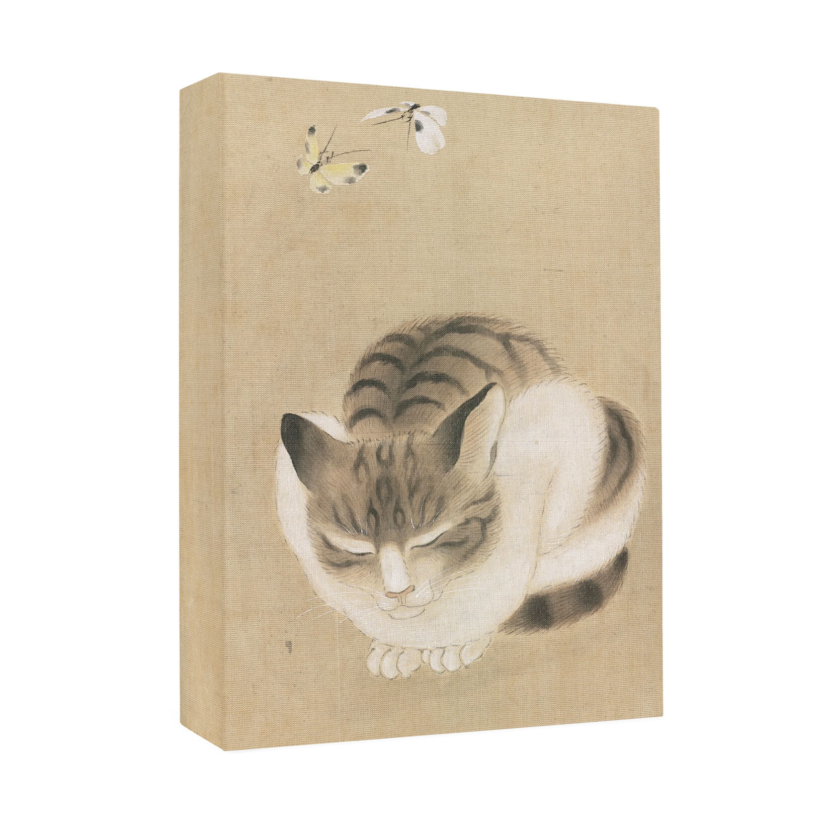 Pomegranate Small Boxed Notecards - Sleeping Cat and Butterflies (20 Assorted Cards)