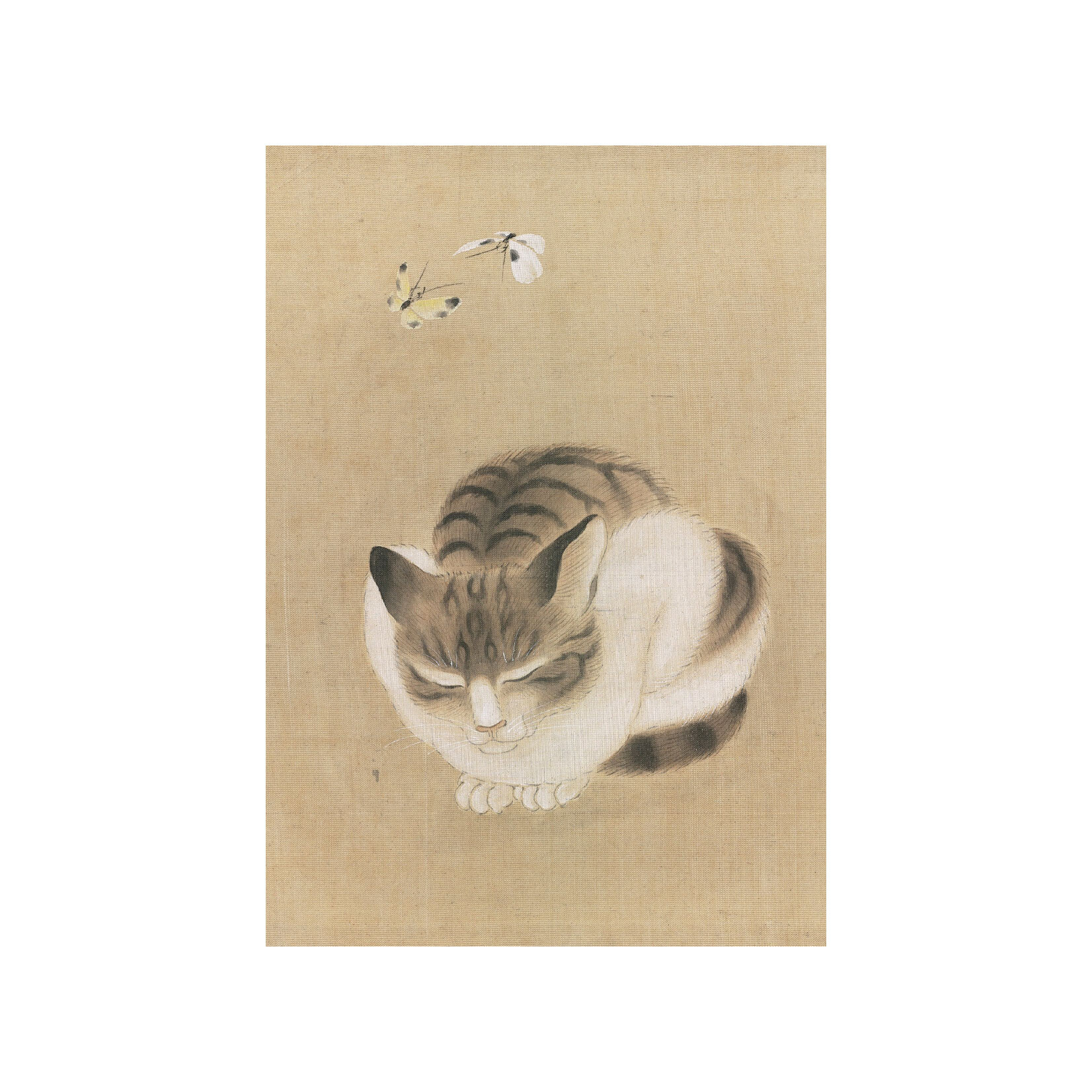 Pomegranate Small Boxed Notecards - Sleeping Cat and Butterflies (20 Assorted Cards)