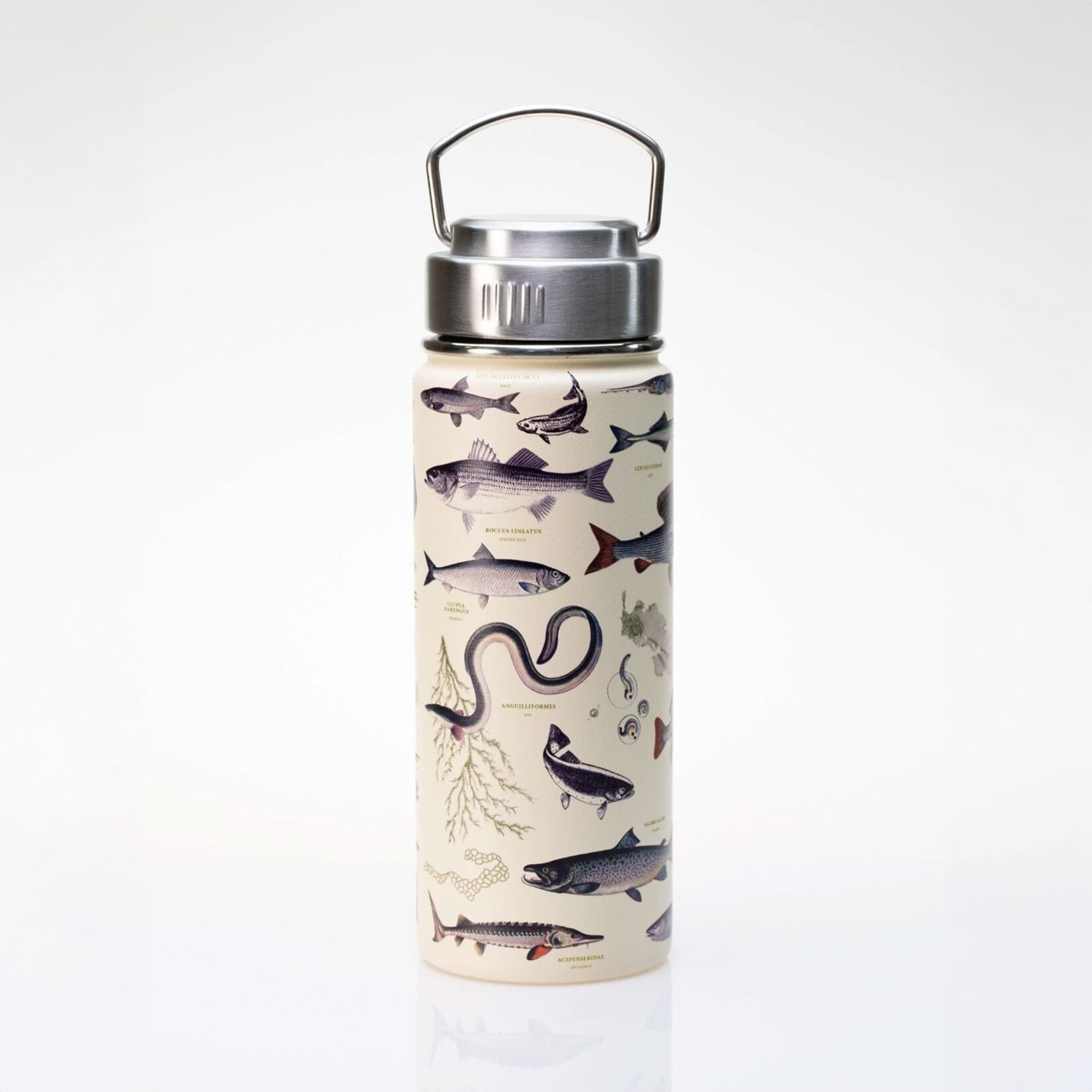 Cognitive Surplus Stainless Steel Bottle - Fresh Water Fish - 18oz