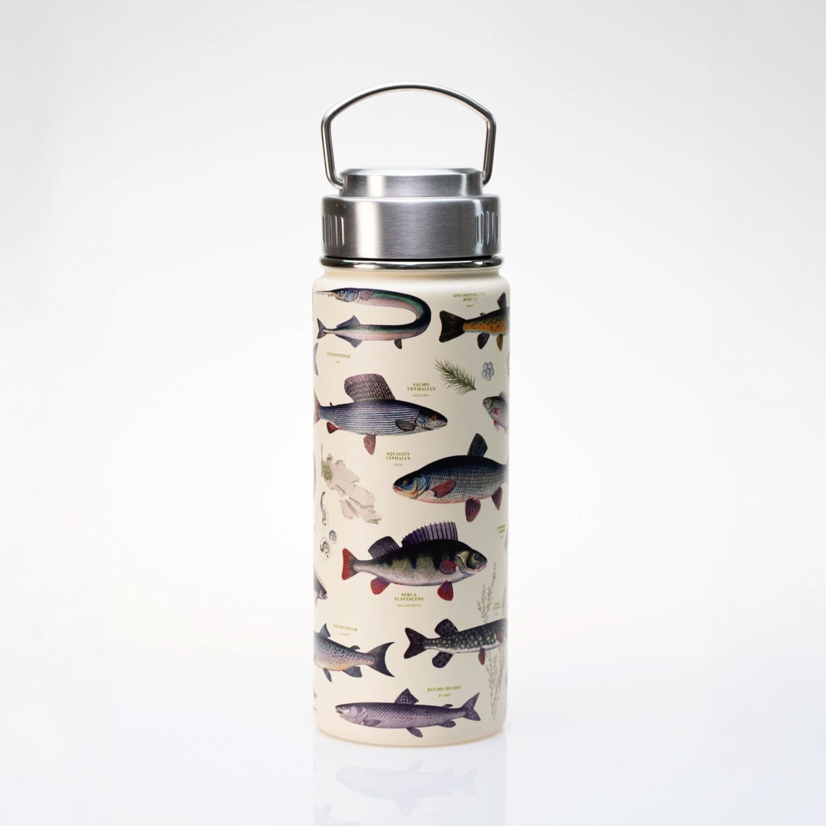 Cognitive Surplus Stainless Steel Bottle - Fresh Water Fish - 18oz