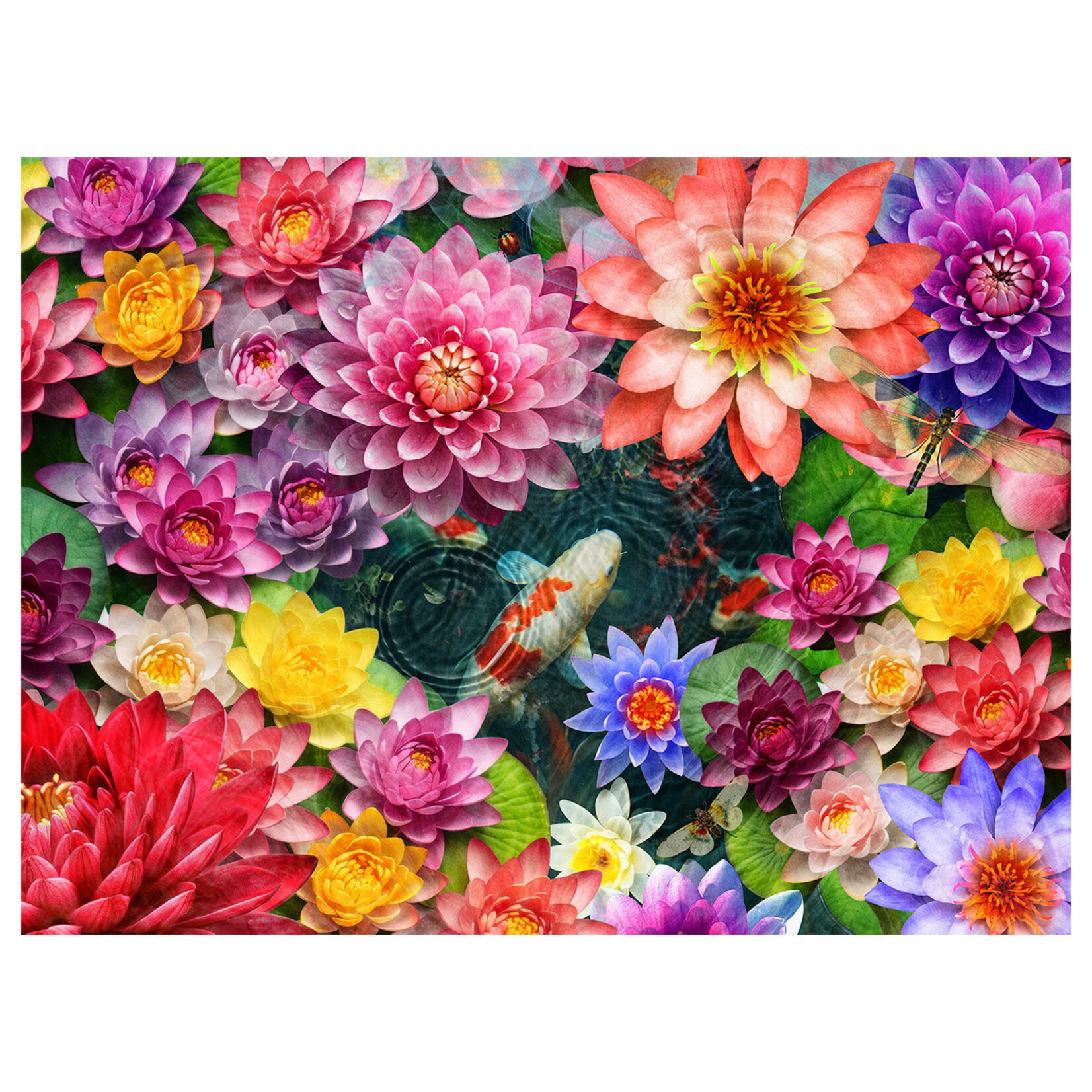 Springbok Jigsaw Puzzle - Colorful Koi Pond (1000-Piece)