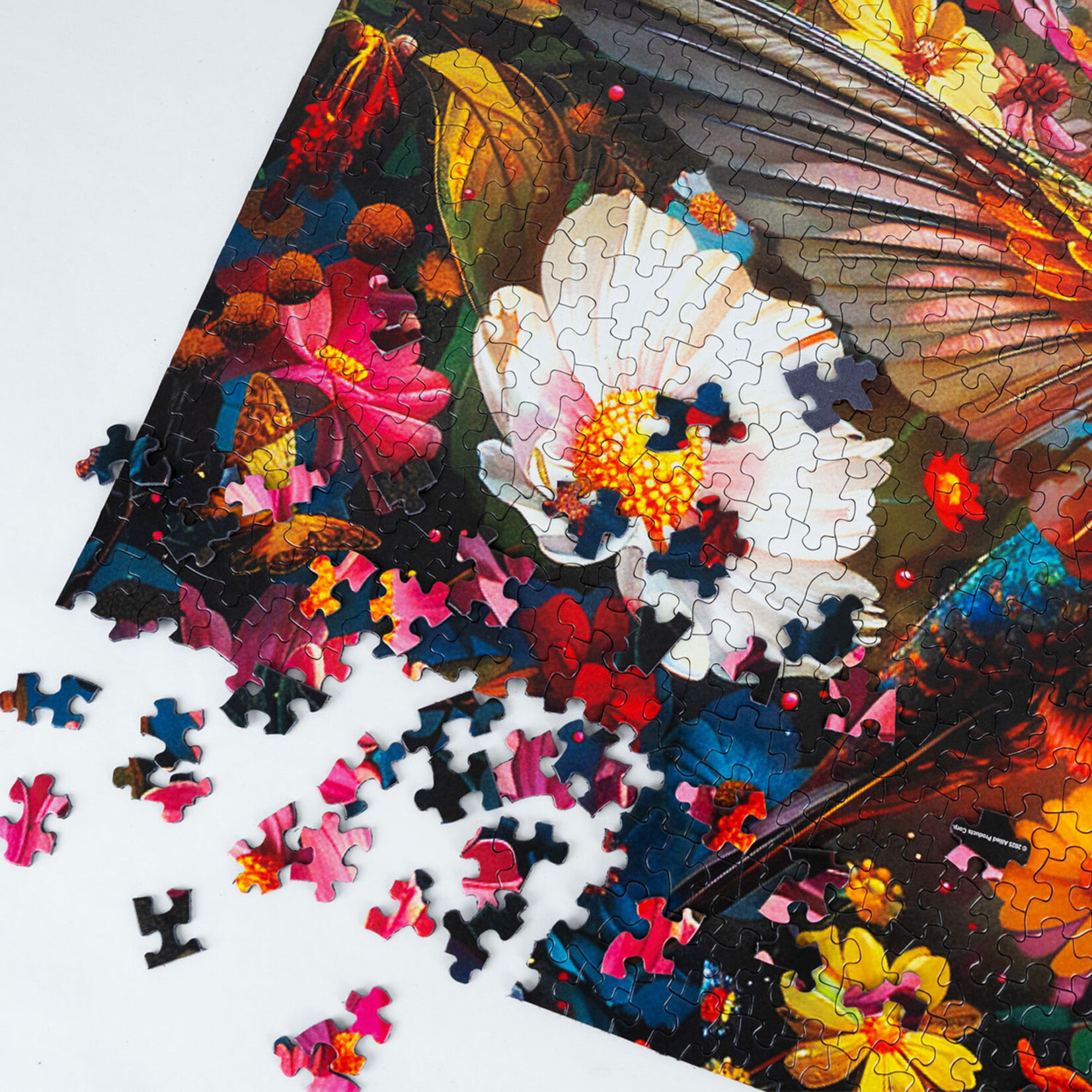 Springbok Jigsaw Puzzle - Hummingbird Dream (1000-Piece)