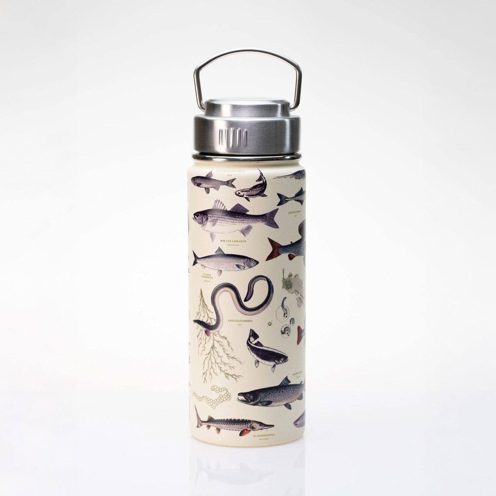 Cognitive Surplus Steel Bottle - Fresh Water Fish (18oz)
