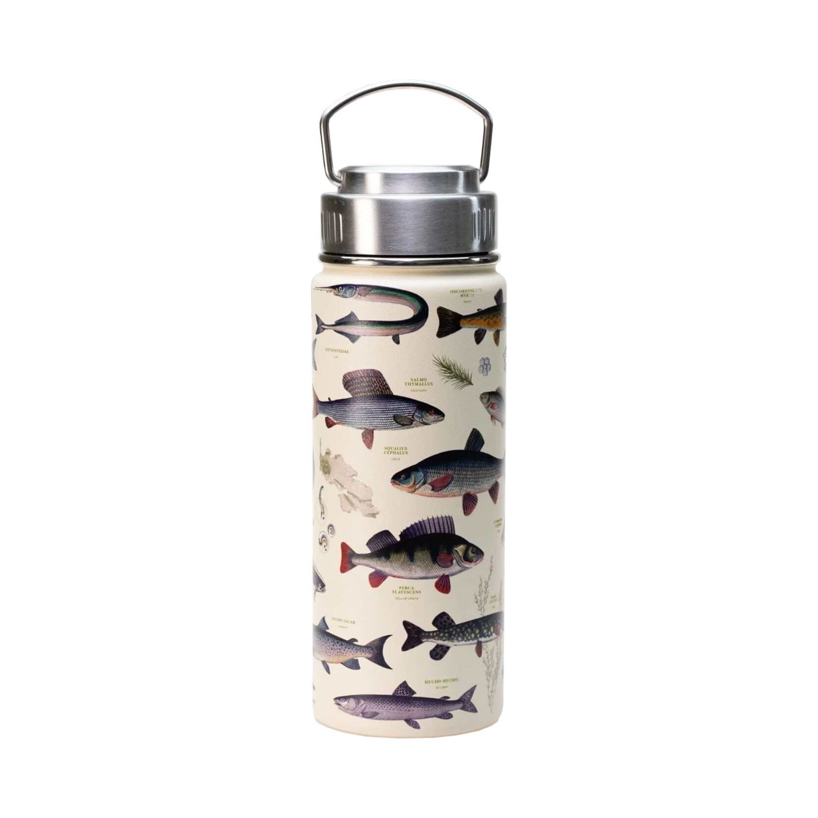 Cognitive Surplus Steel Bottle - Fresh Water Fish (18oz)