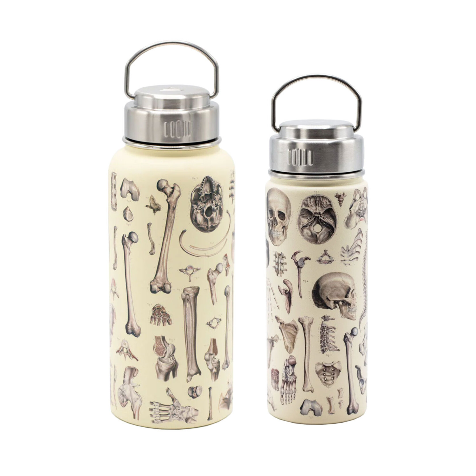 Cognitive Surplus Steel Bottle - Skeleton (32oz/18oz)