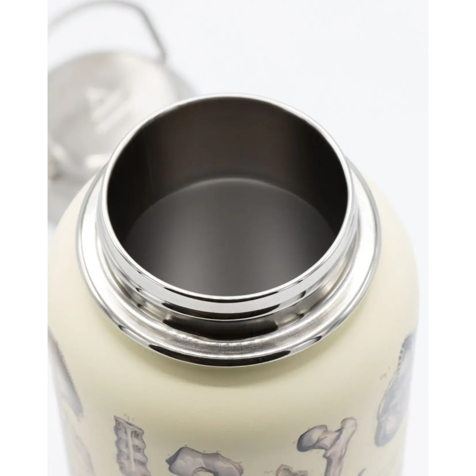 Cognitive Surplus Steel Bottle - Skeleton (18oz/32oz)