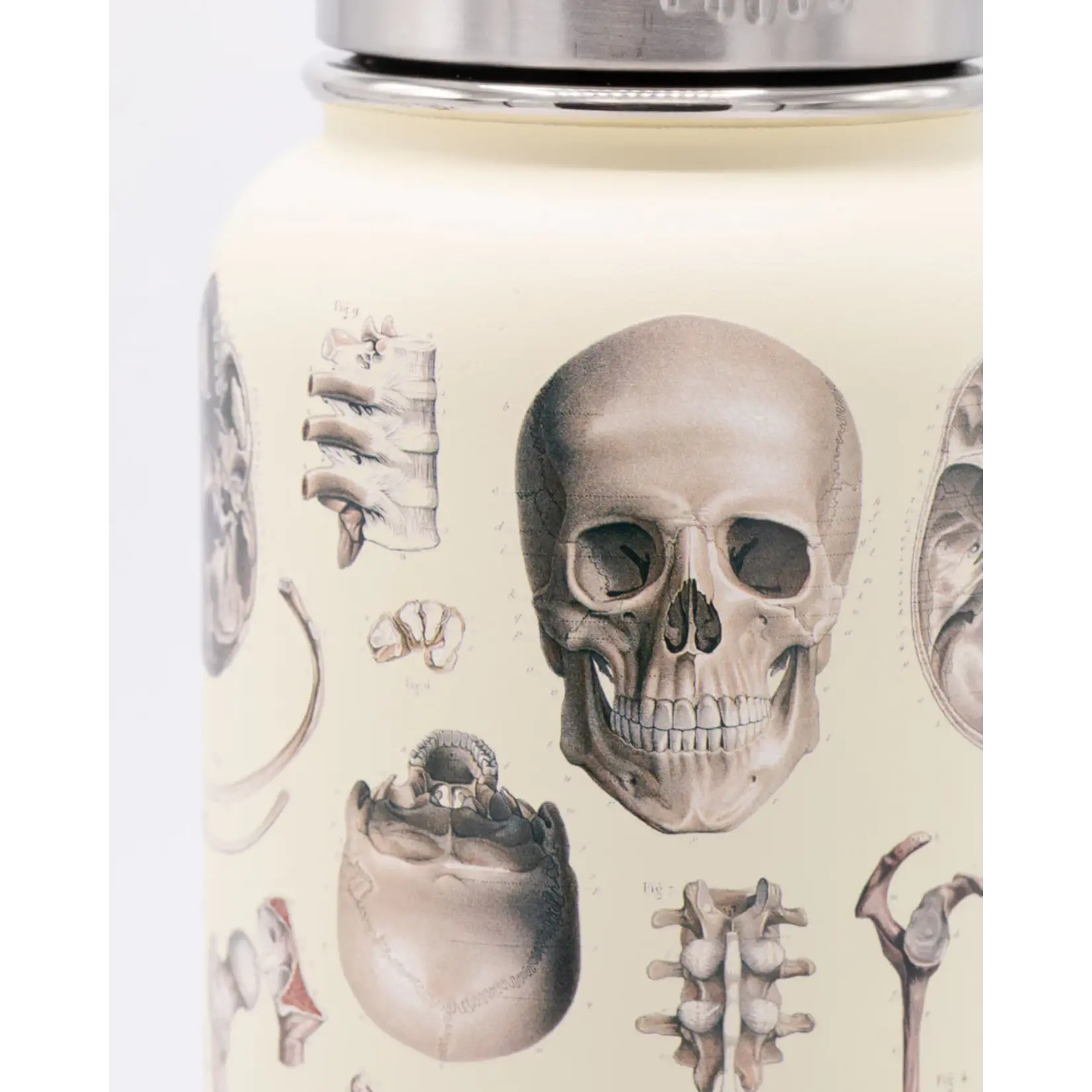 Cognitive Surplus Steel Bottle - Skeleton (32oz/18oz)