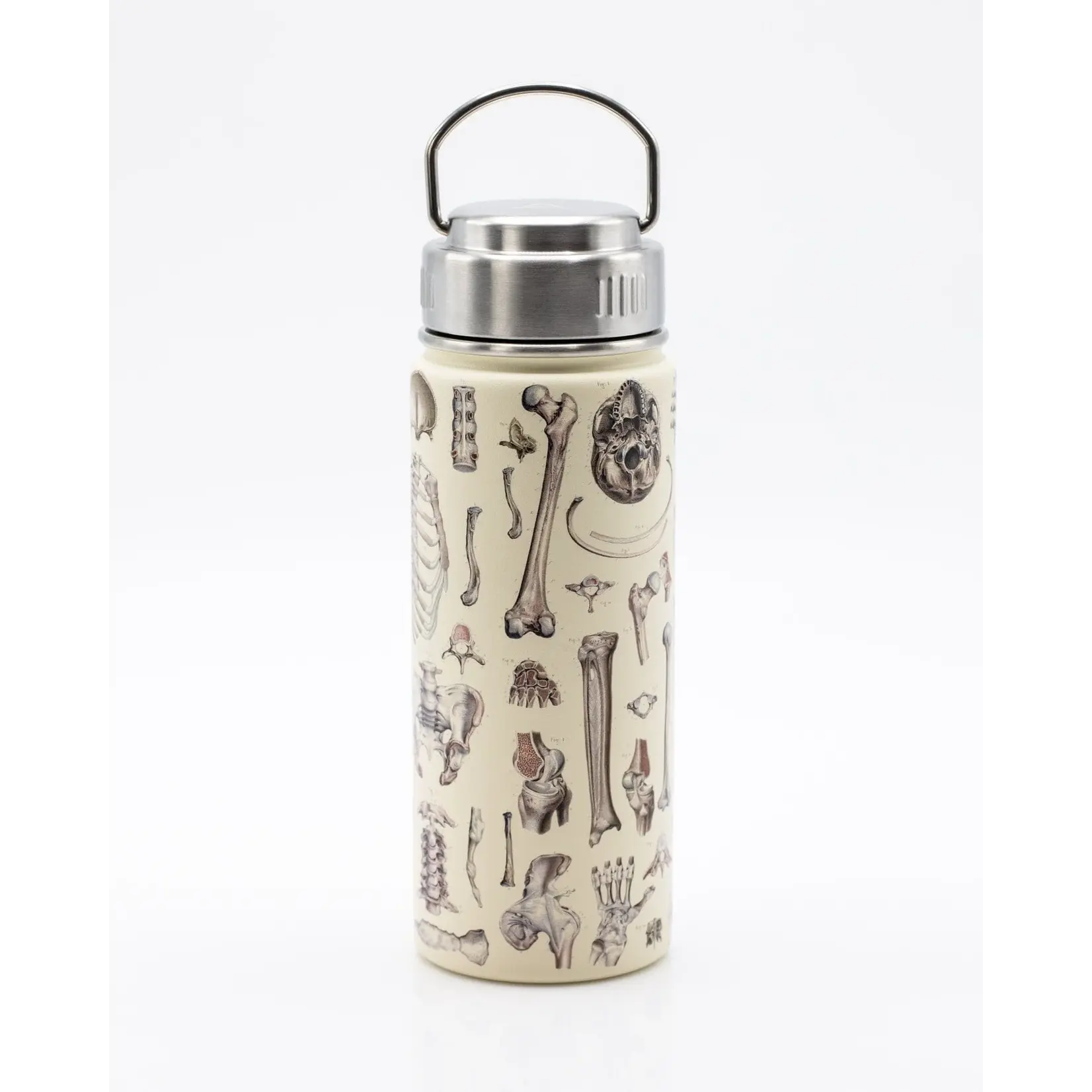 Cognitive Surplus Steel Bottle - Skeleton (18oz/32oz)